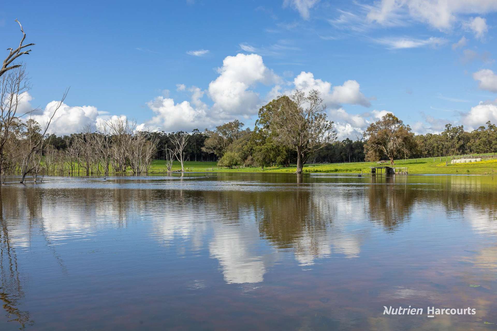 Lot 100 Yarri Road, Manjimup For Sale by Farmbuy.com - image 7