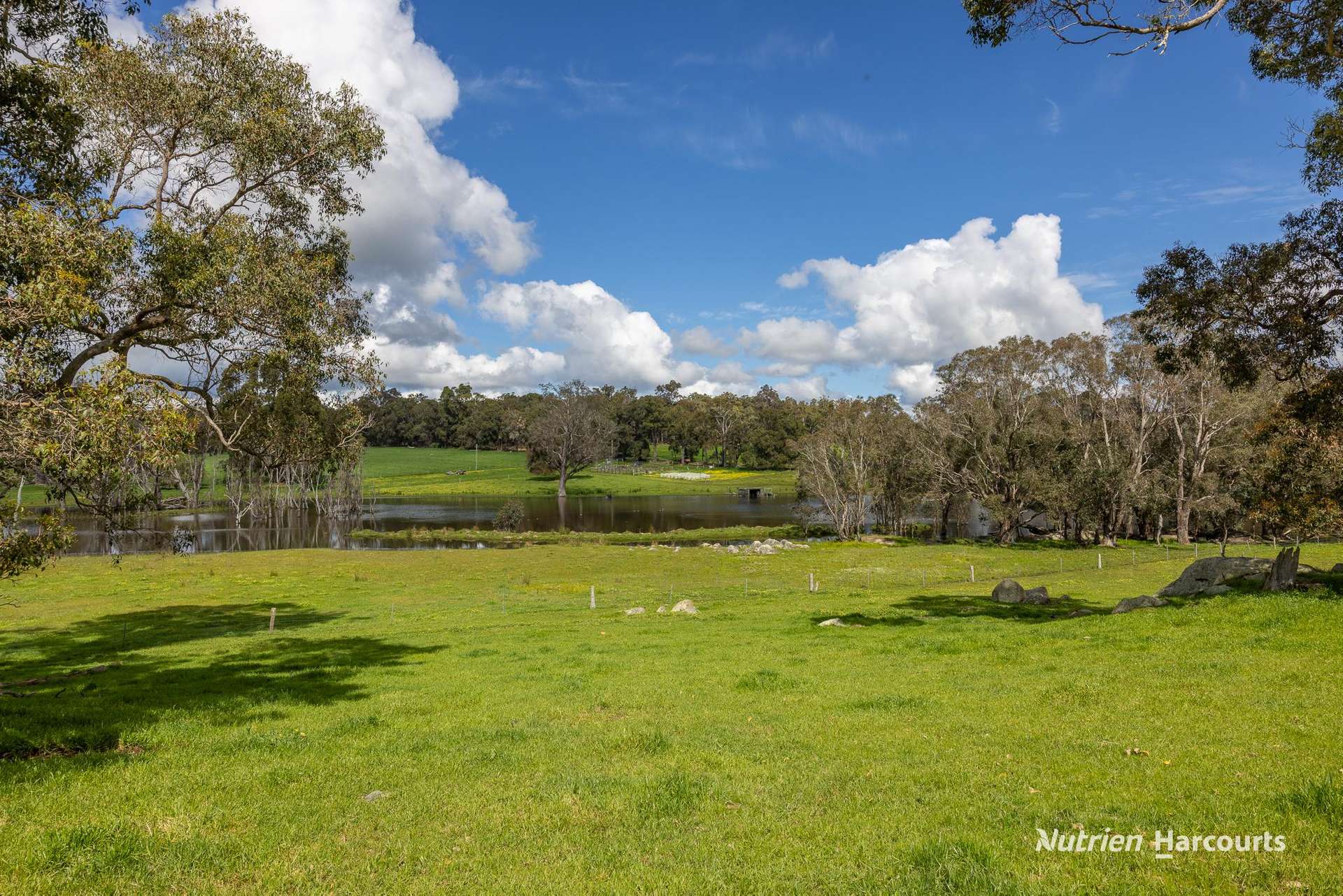 Lot 100 Yarri Road, Manjimup For Sale by Farmbuy.com - image 3