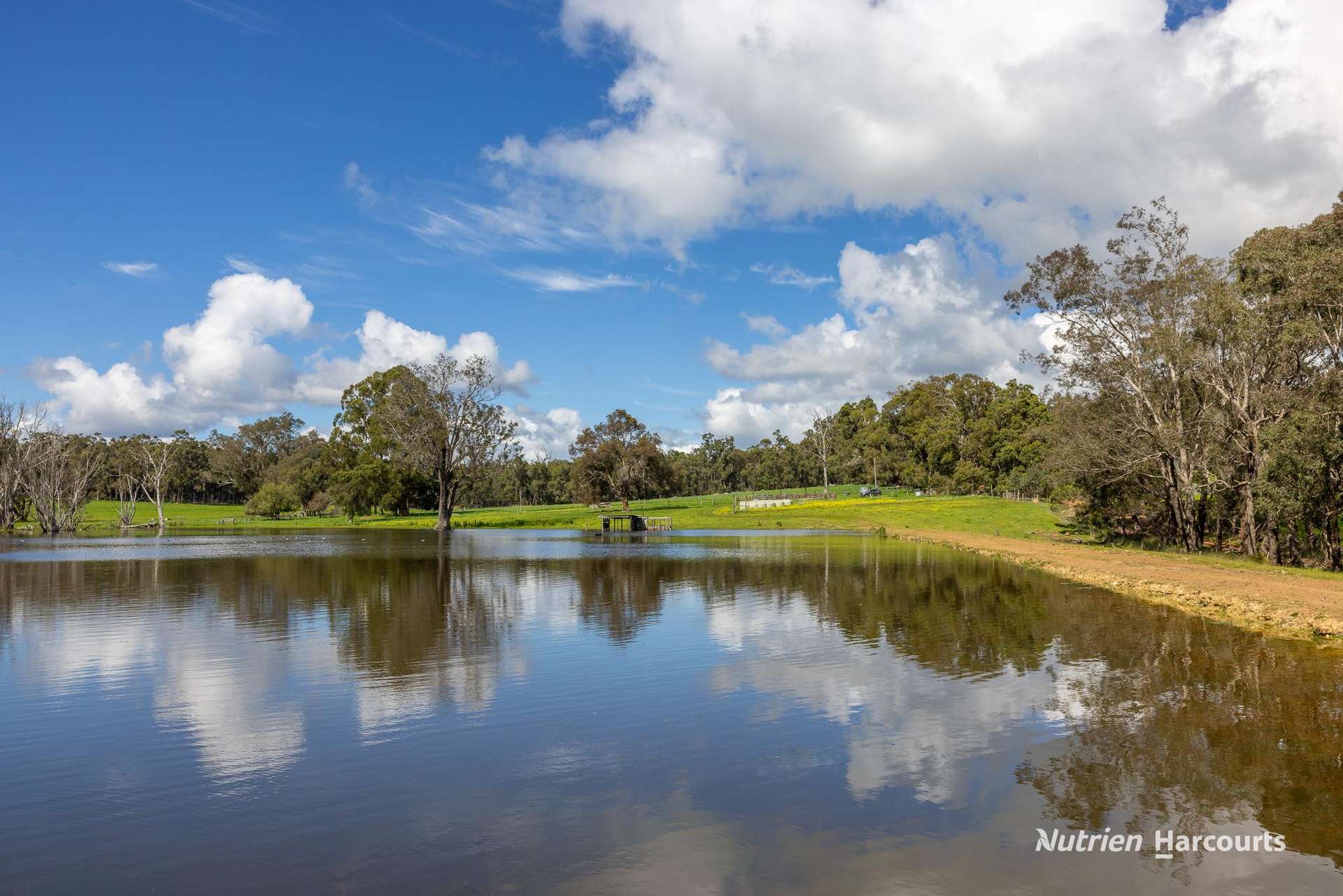 Lot 100 Yarri Road, Manjimup For Sale by Farmbuy.com - image 8