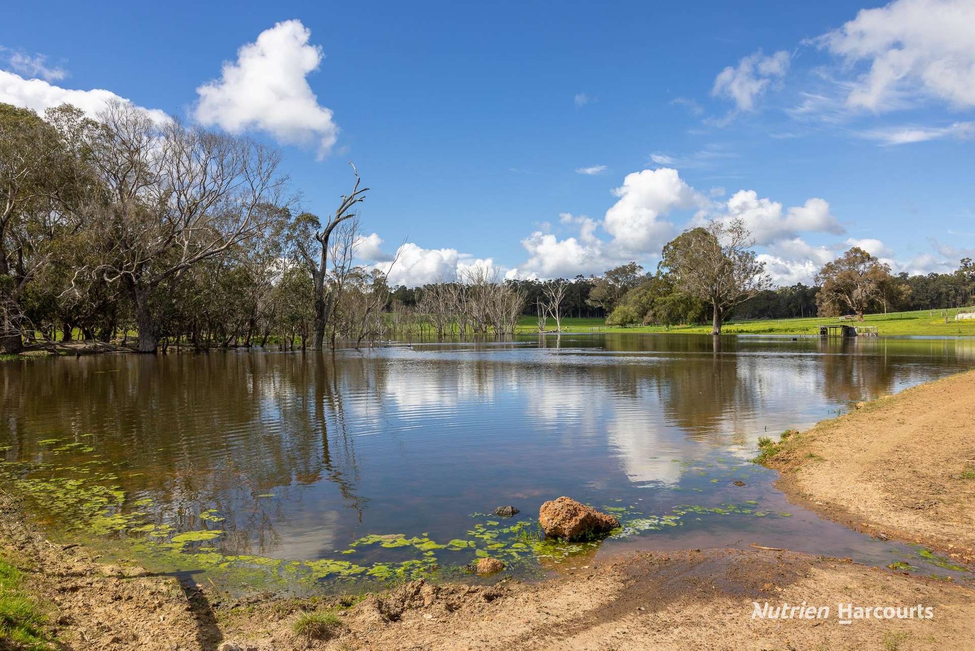 Lot 100 Yarri Road, Manjimup For Sale by Farmbuy.com - image 6