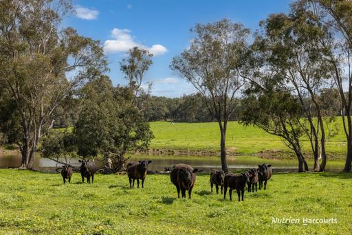 Lot 100 Yarri Road, Manjimup WA 6258