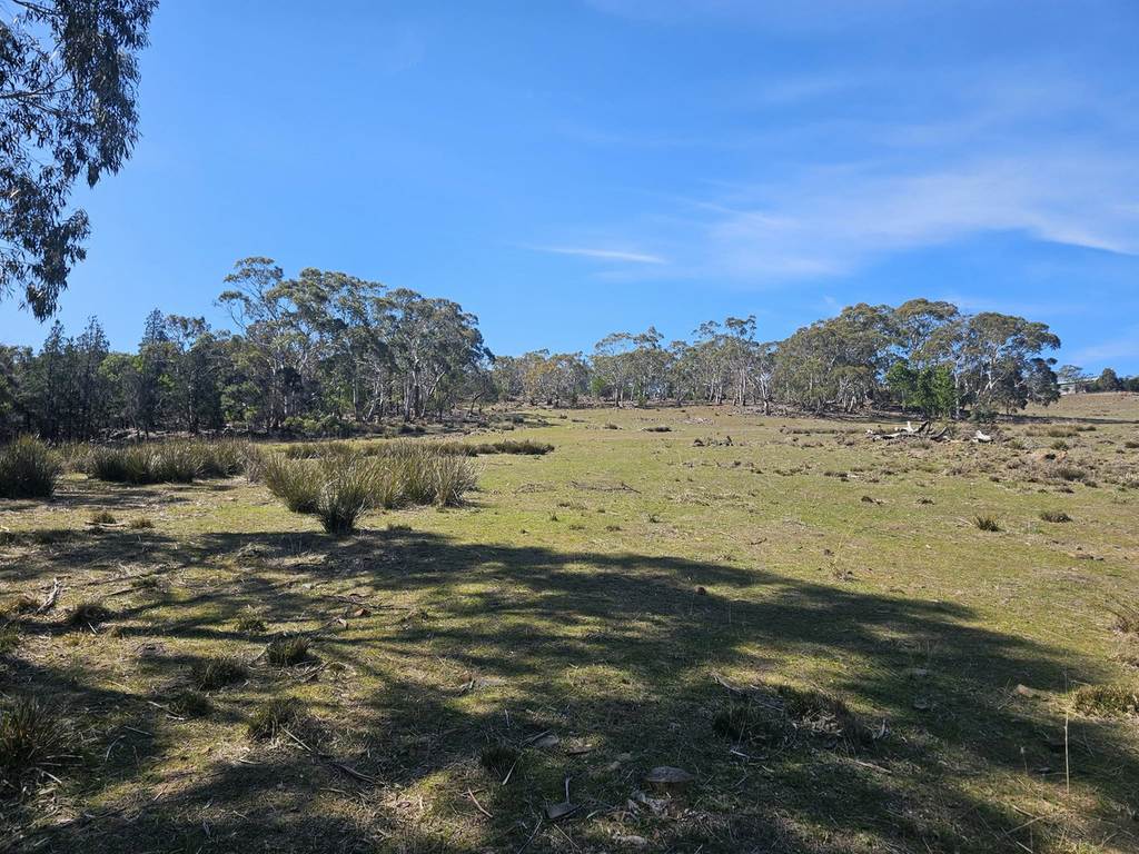 Lot 5, Gordon Street, Swansea TAS 7190