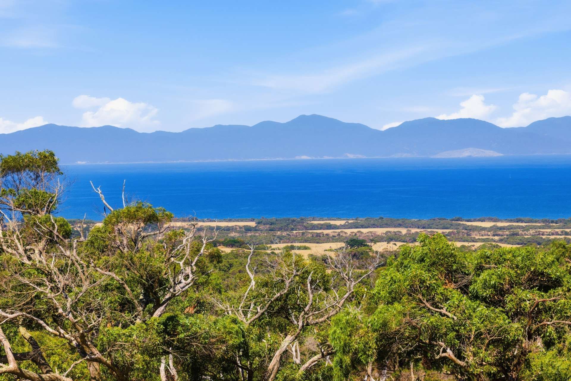40 Walkerville South Road, Tarwin Lower For Sale by Farmbuy.com - image 10