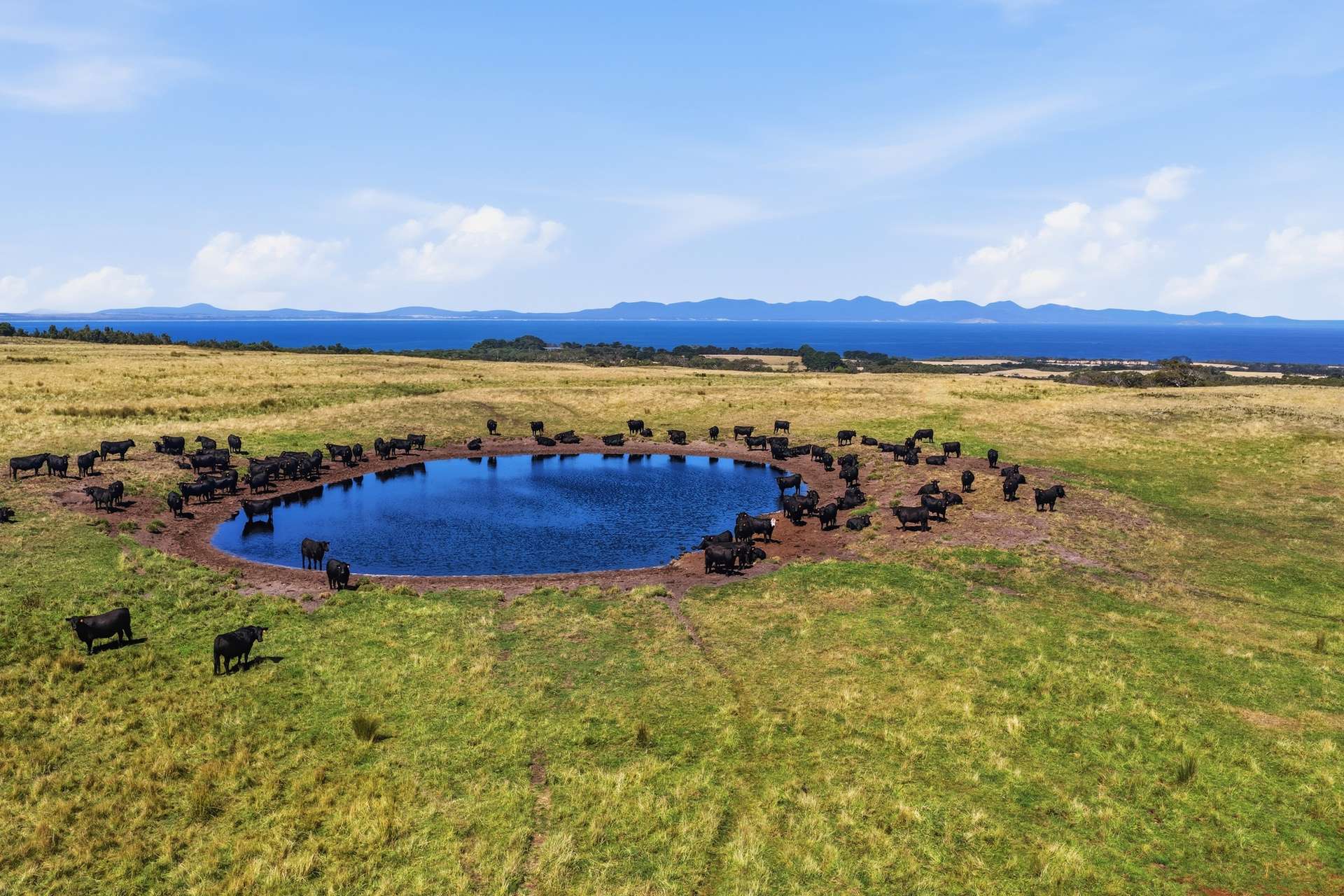 40 Walkerville South Road, Tarwin Lower For Sale by Farmbuy.com - image 7