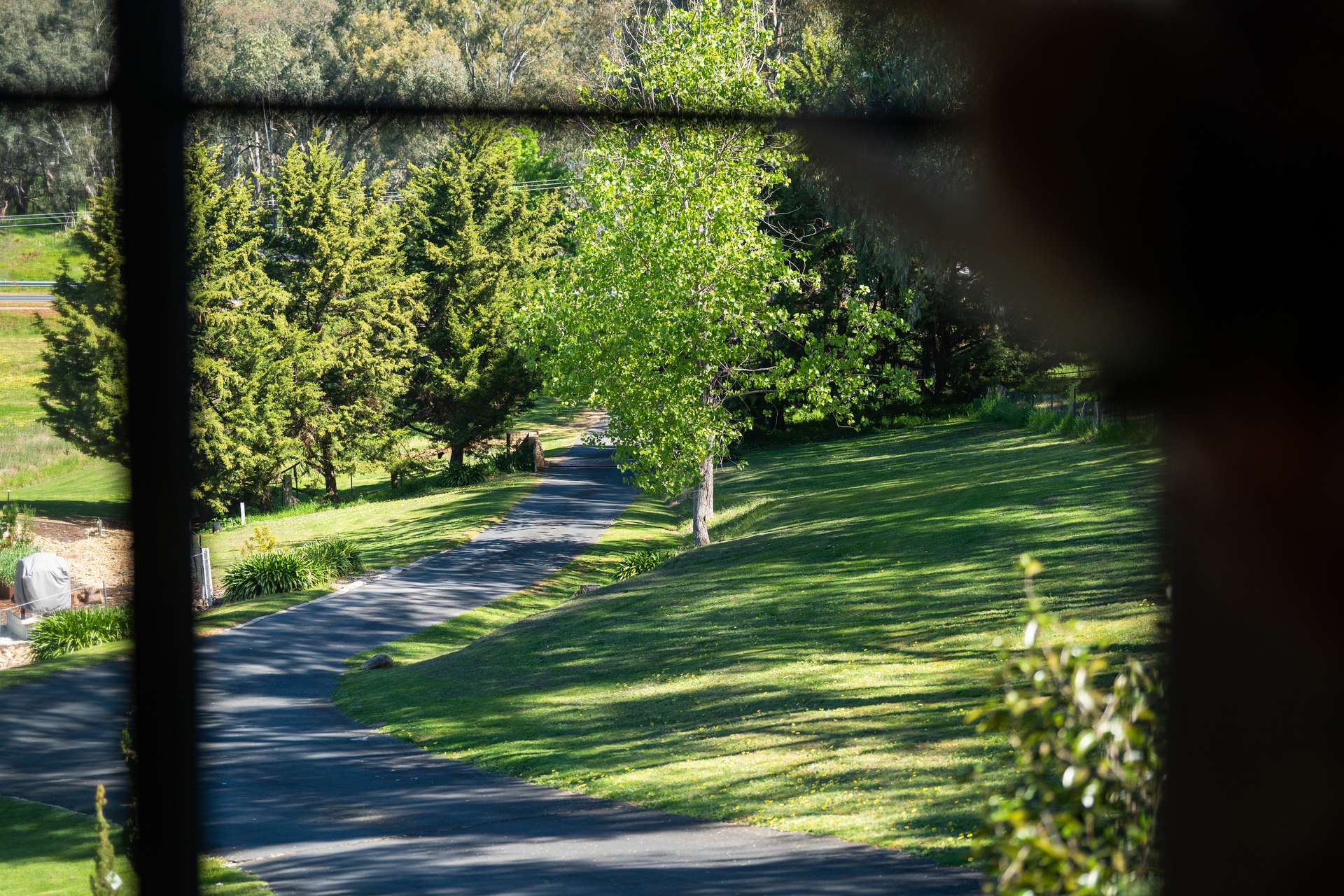 1188 Padman Drive, West Albury For Sale by Farmbuy.com - image 3