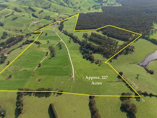 Farm For Sale - VIC - Boolarra South - 3870 - Established Dairy Farm with Bushland Backdrop 
