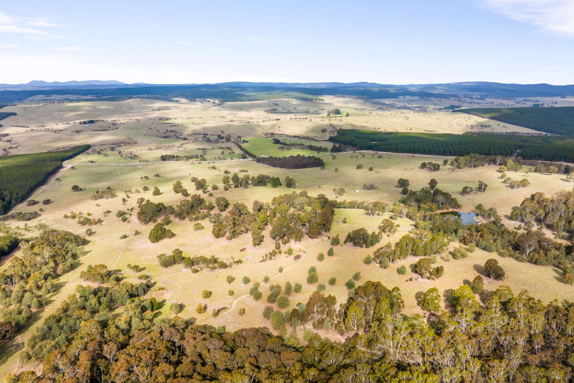 171 Big Flat Road, Craigie For Sale by Farmbuy.com - image 34