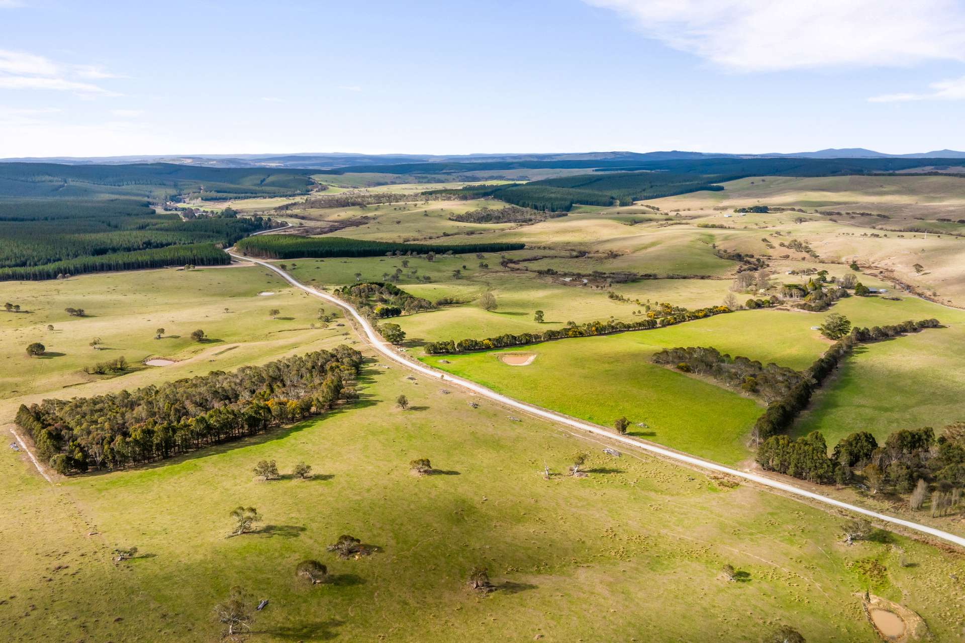 171 Big Flat Road, Craigie For Sale by Farmbuy.com - image 32