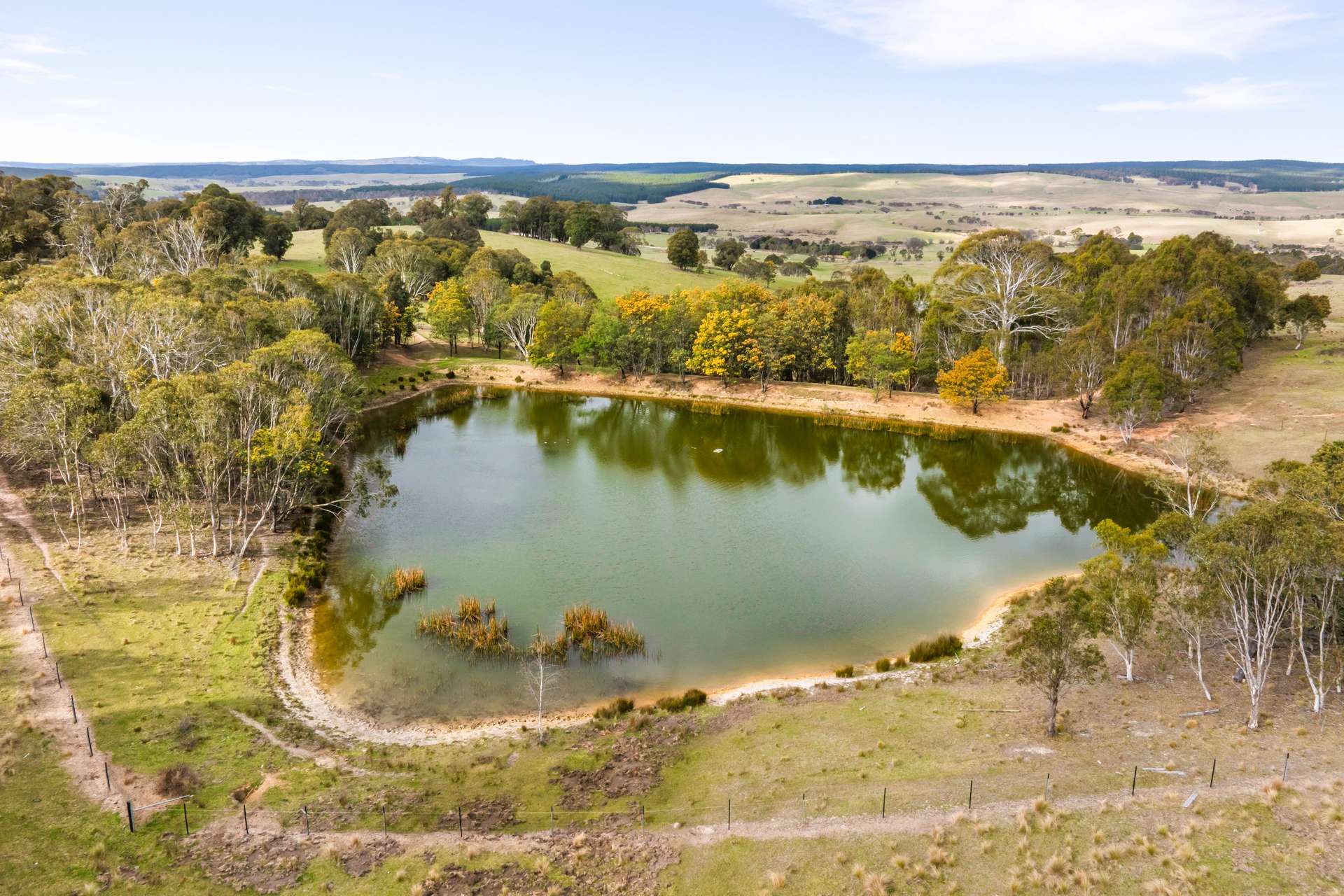171 Big Flat Road, Craigie For Sale by Farmbuy.com - image 35
