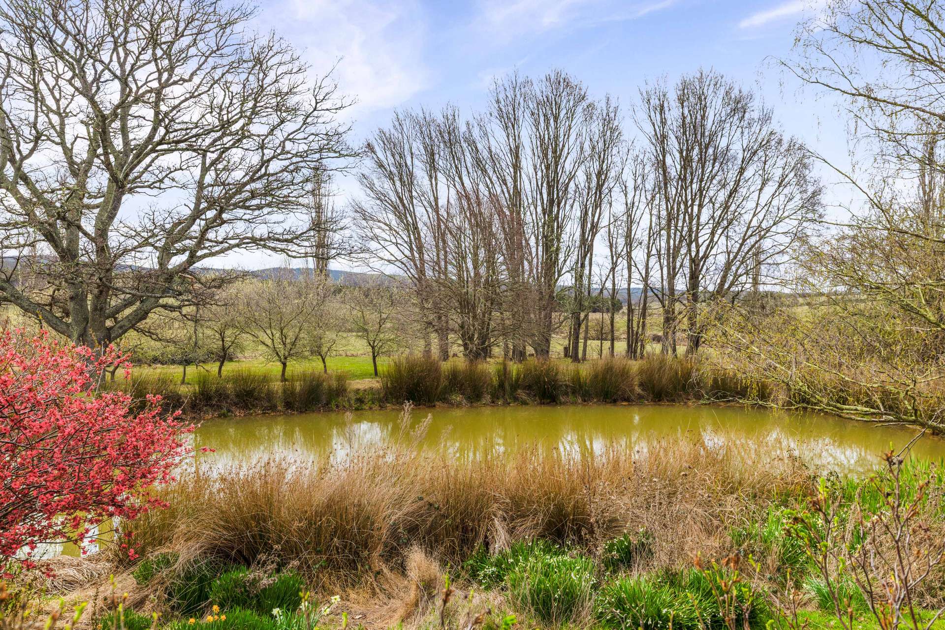 171 Big Flat Road, Craigie For Sale by Farmbuy.com - image 26