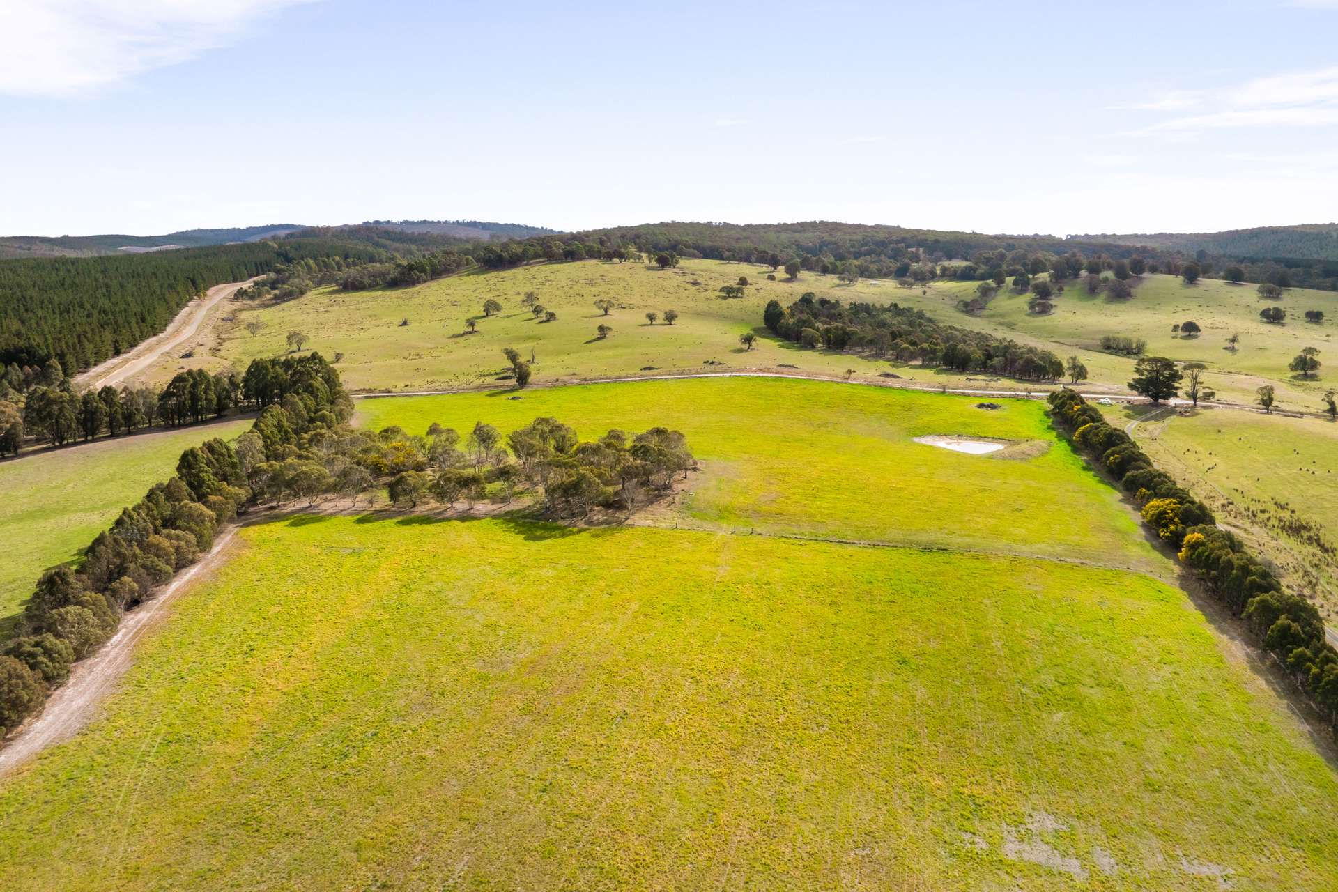 171 Big Flat Road, Craigie For Sale by Farmbuy.com - image 31