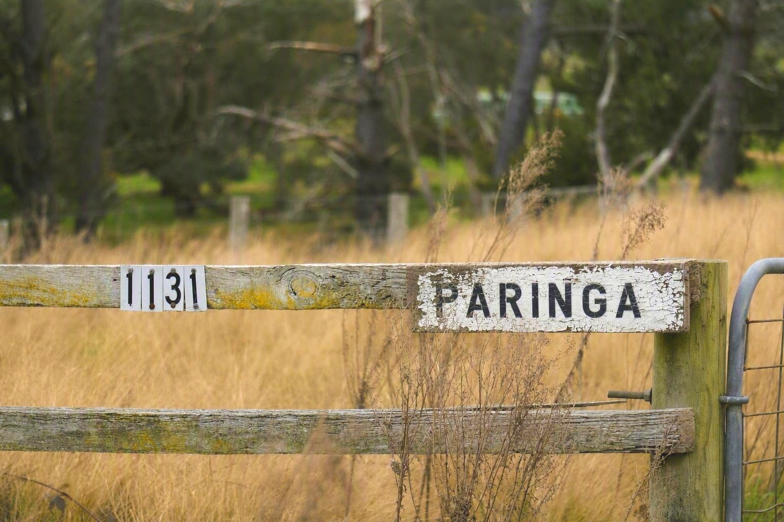 1131 Reservoir Road, Munro For Sale by Farmbuy.com - image 29