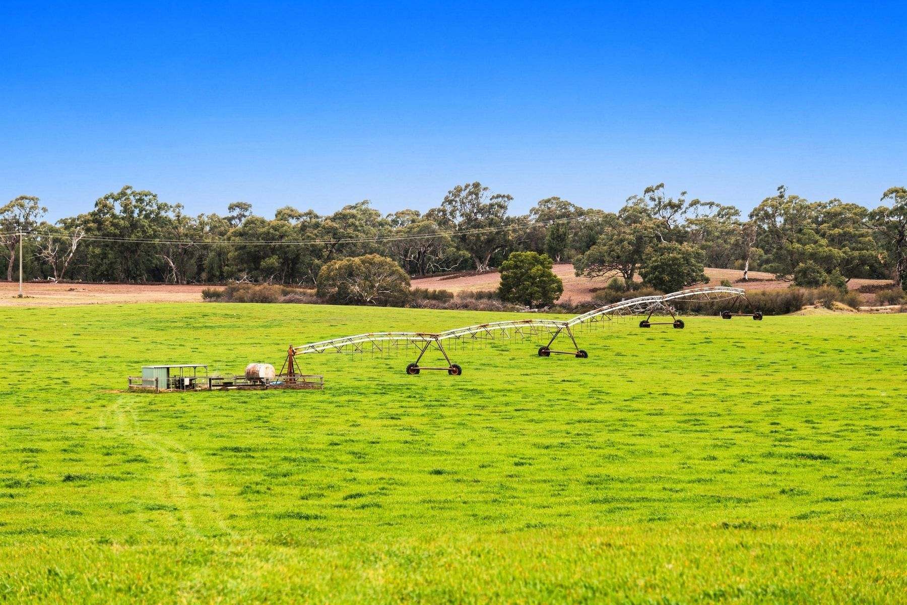 1131 Reservoir Road, Munro For Sale by Farmbuy.com - image 6