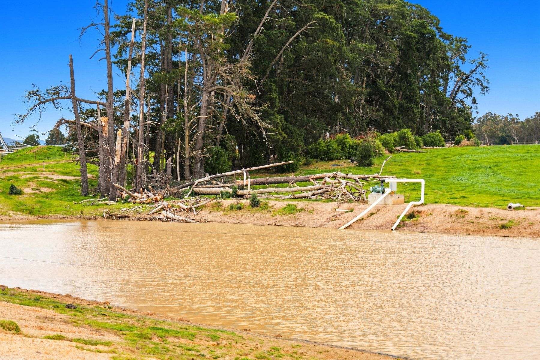 1131 Reservoir Road, Munro For Sale by Farmbuy.com - image 23