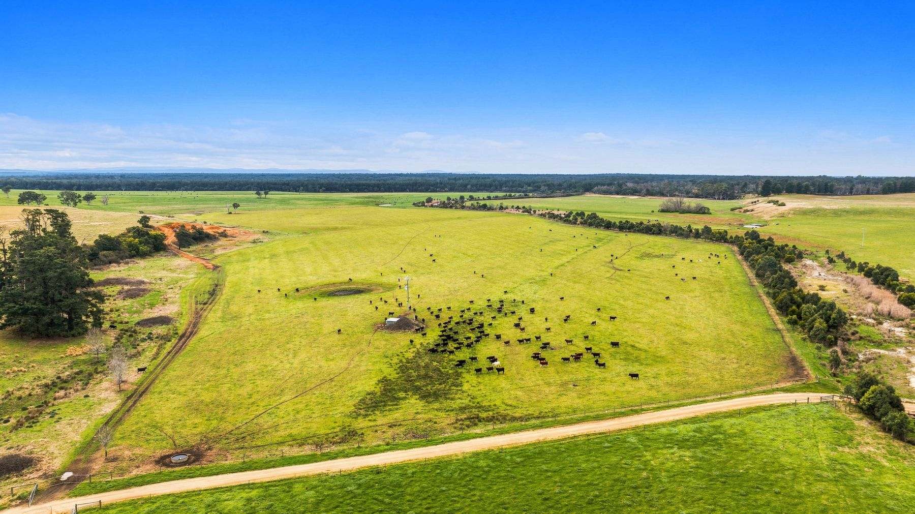 1131 Reservoir Road, Munro For Sale by Farmbuy.com - image 8