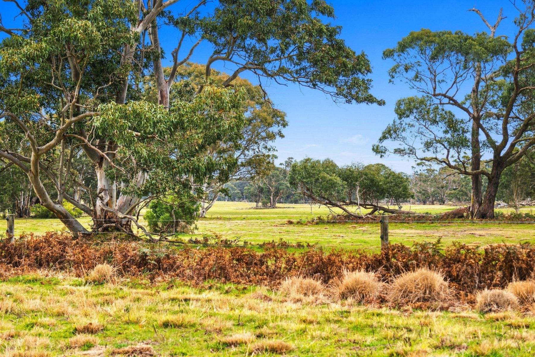 1131 Reservoir Road, Munro For Sale by Farmbuy.com - image 26