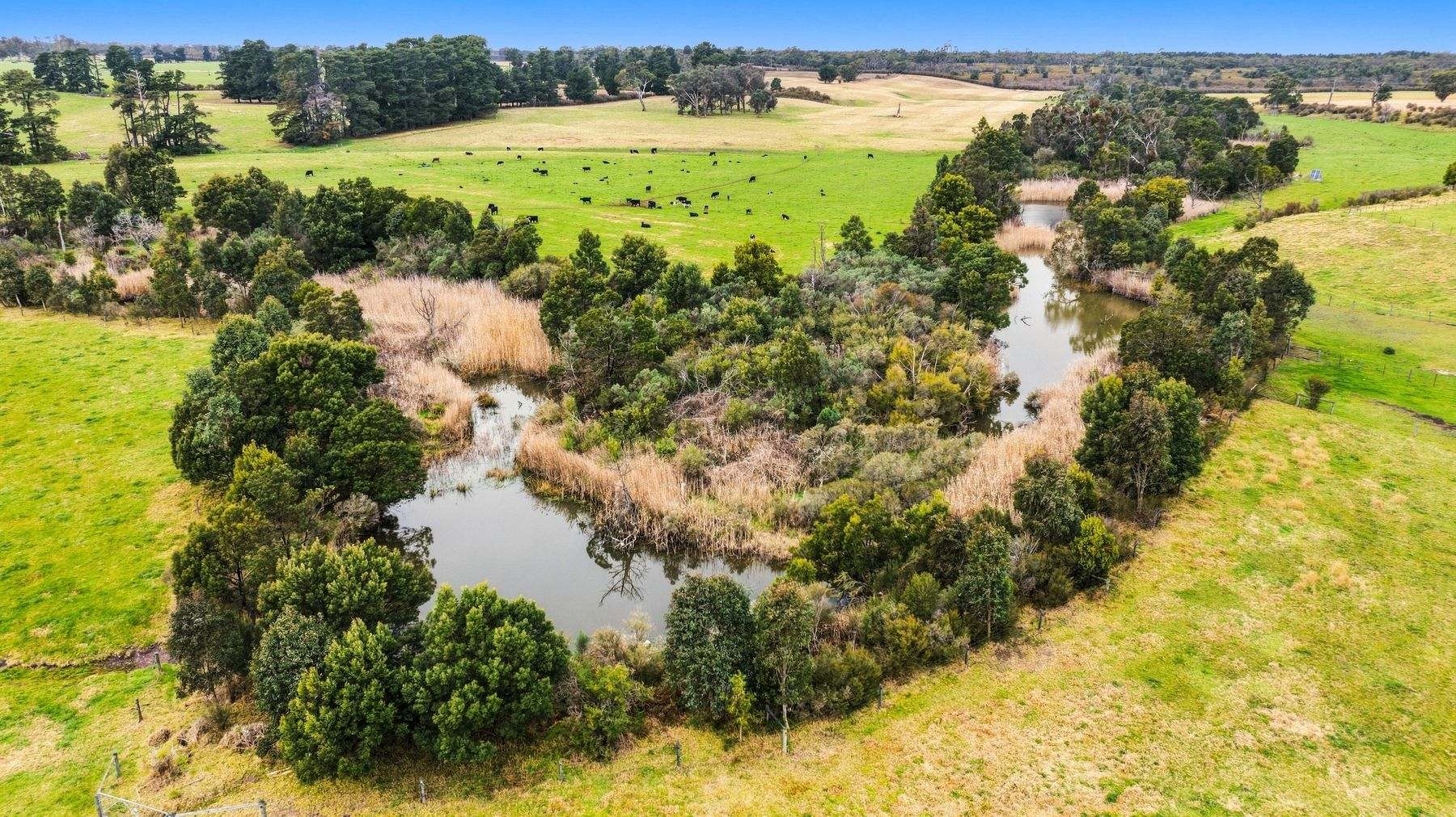 1131 Reservoir Road, Munro For Sale by Farmbuy.com - image 9