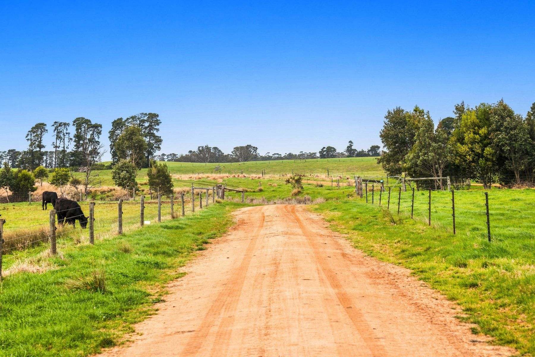 1131 Reservoir Road, Munro For Sale by Farmbuy.com - image 16