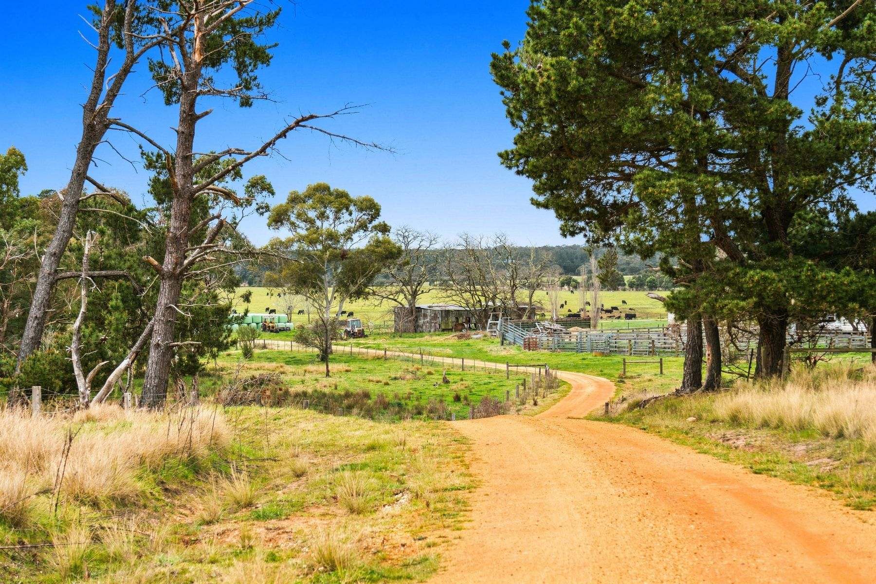 1131 Reservoir Road, Munro For Sale by Farmbuy.com - image 28