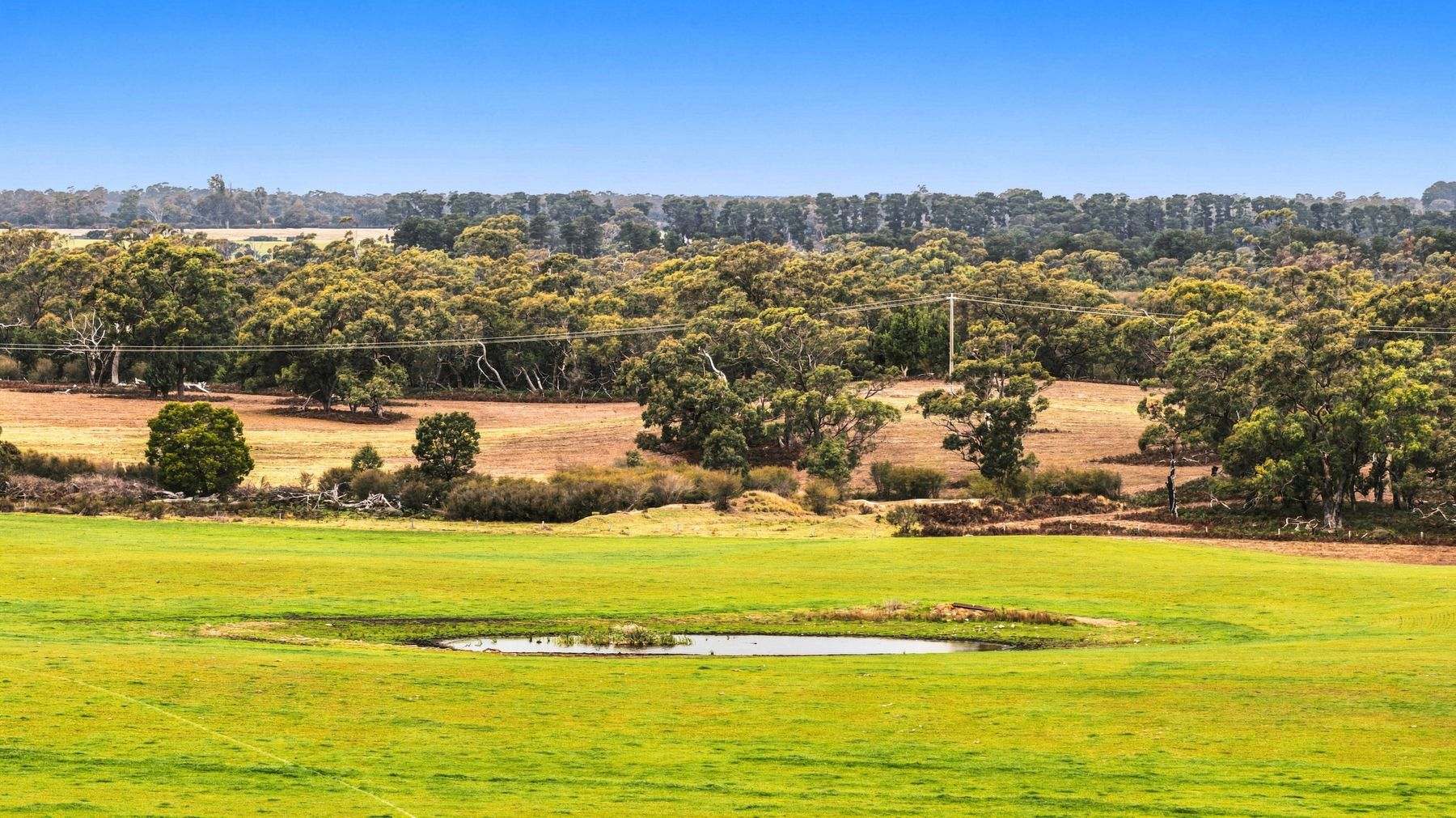 1131 Reservoir Road, Munro For Sale by Farmbuy.com - image 14