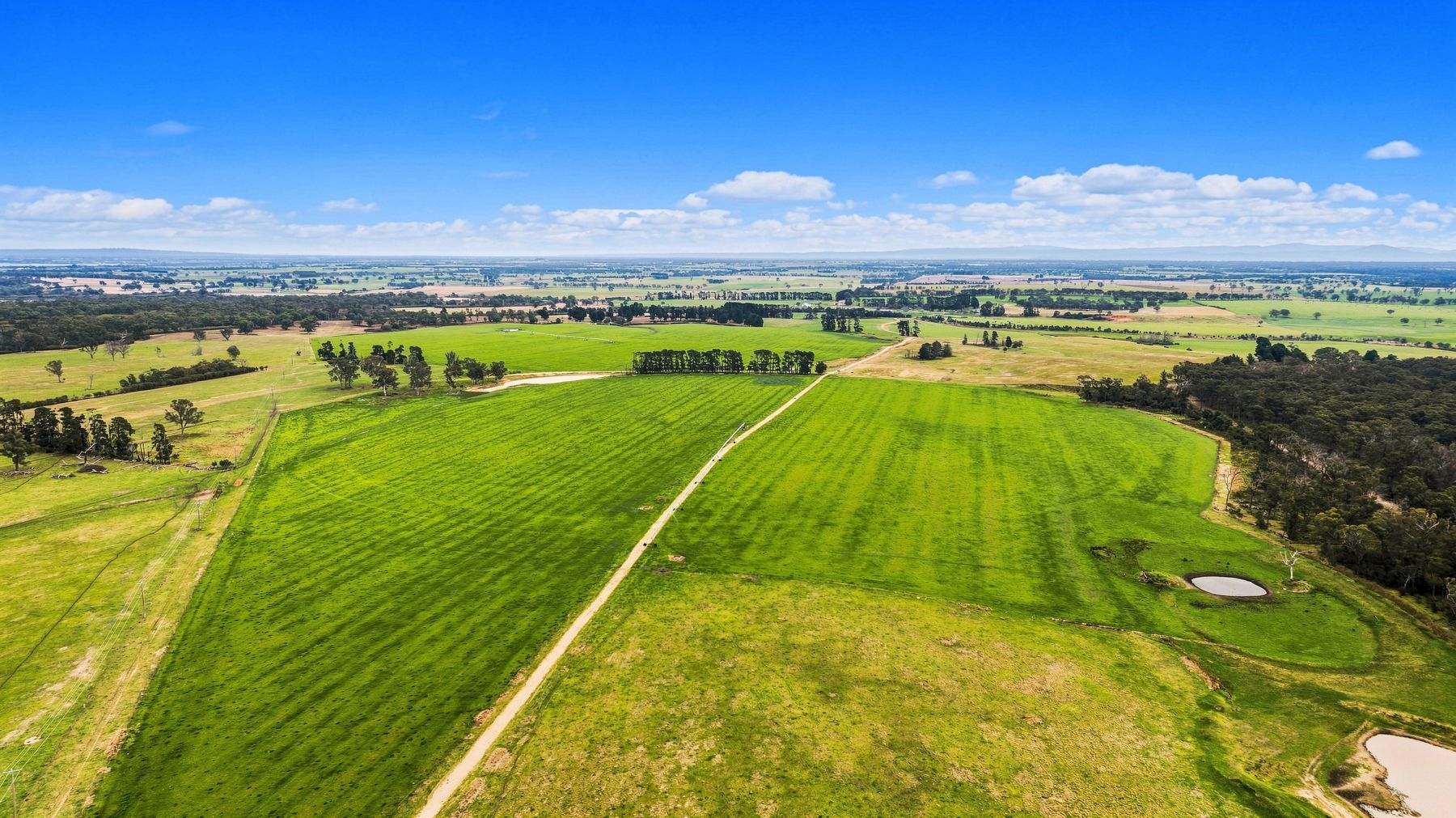 1131 Reservoir Road, Munro For Sale by Farmbuy.com - image 7