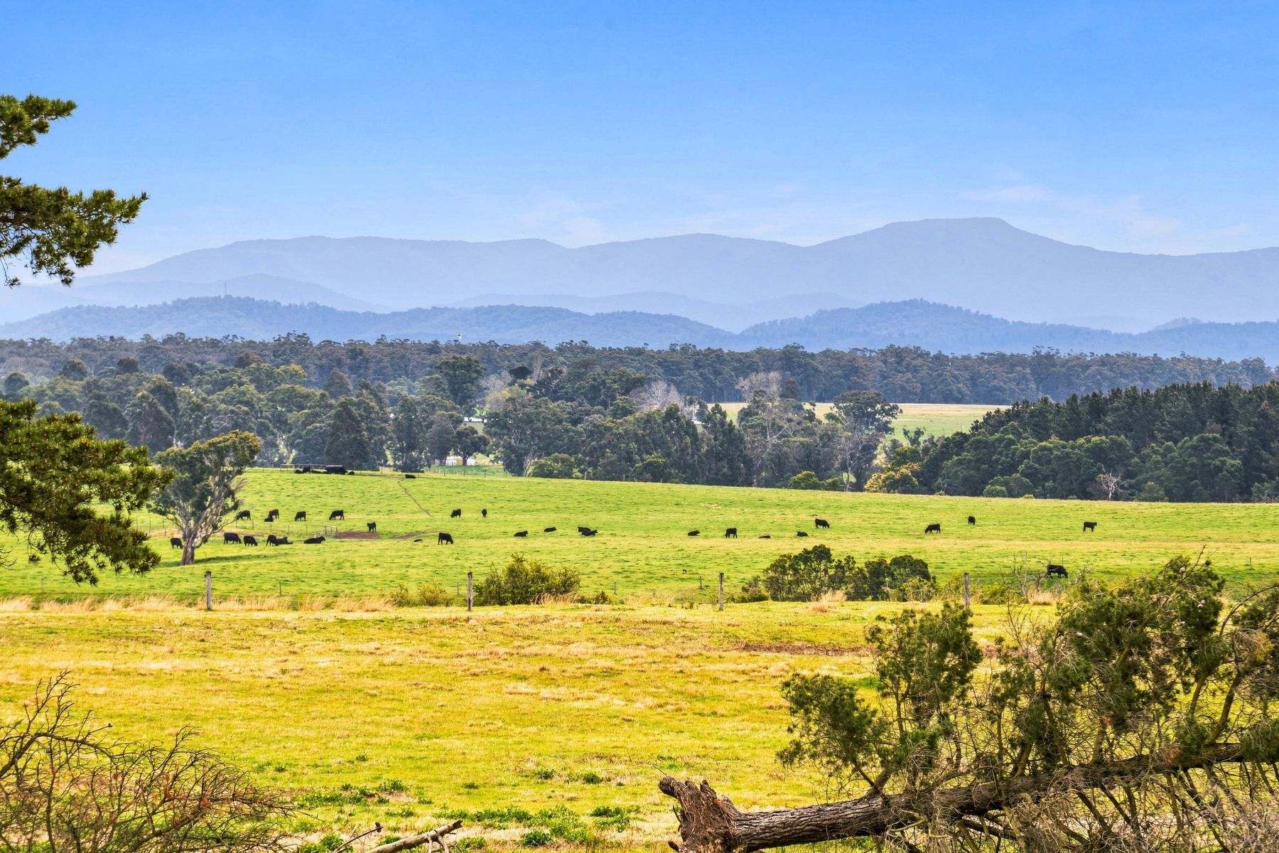 1131 Reservoir Road, Munro For Sale by Farmbuy.com - image 27
