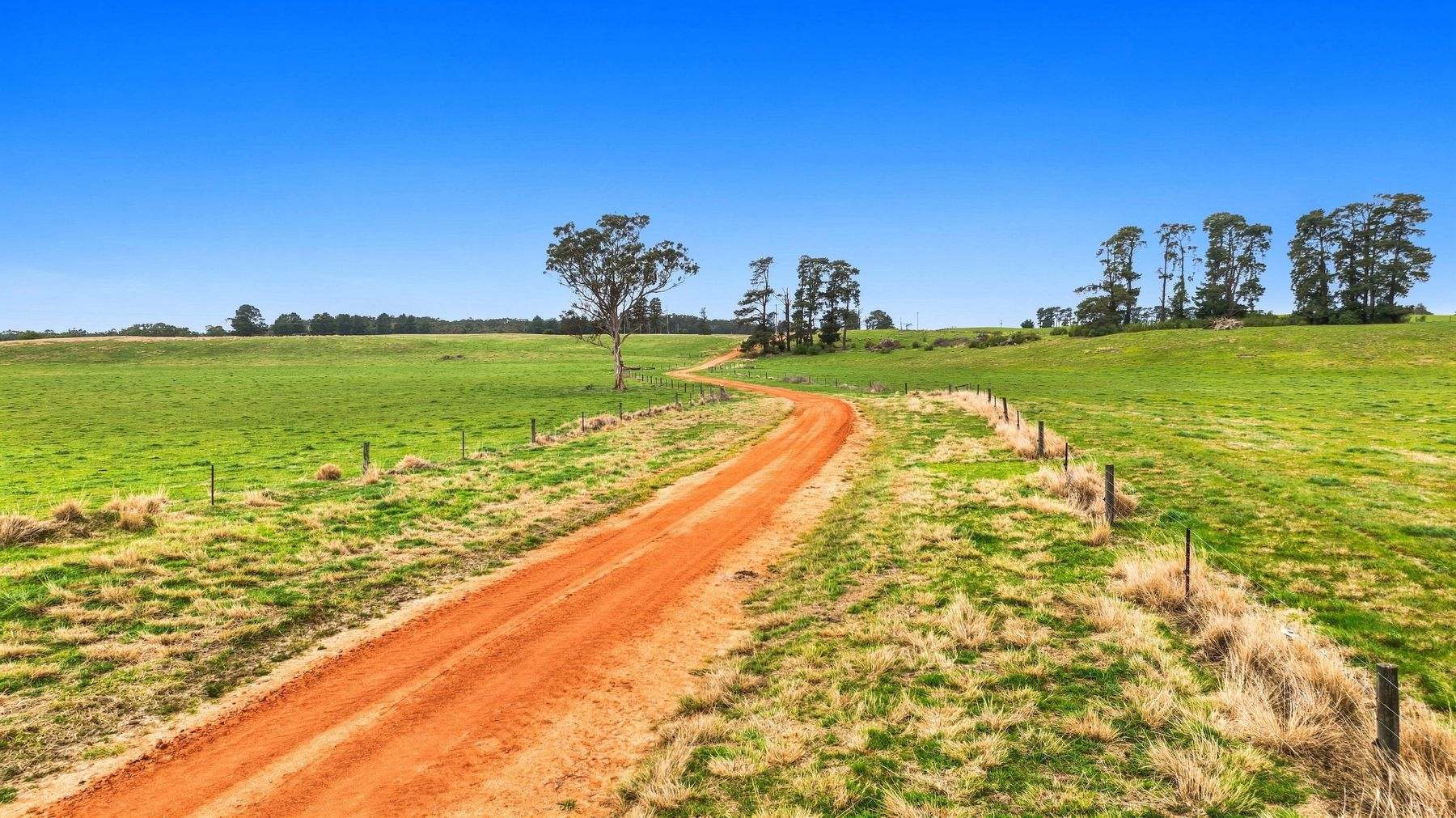 1131 Reservoir Road, Munro For Sale by Farmbuy.com - image 13