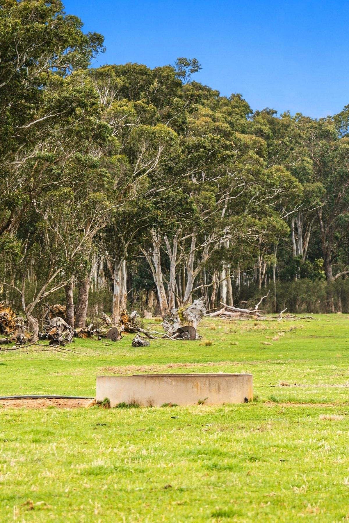 1131 Reservoir Road, Munro For Sale by Farmbuy.com - image 24