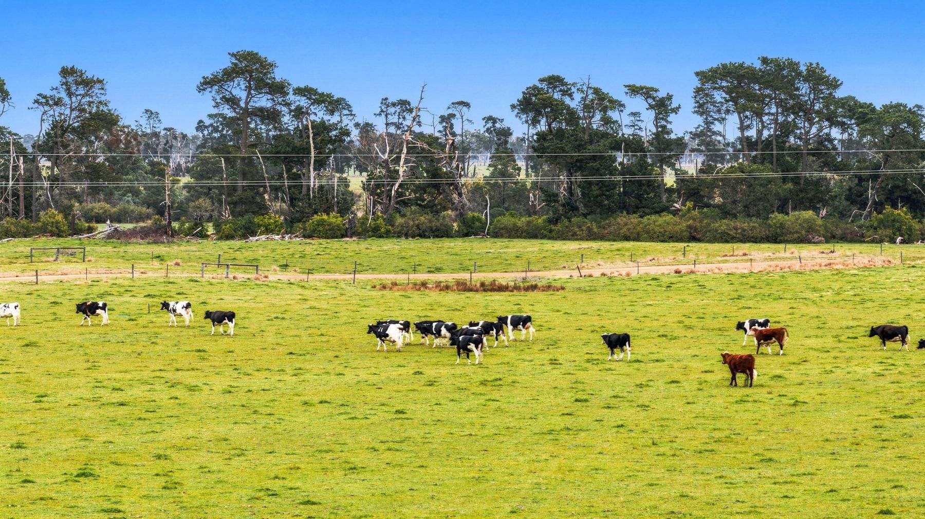 1131 Reservoir Road, Munro For Sale by Farmbuy.com - image 15