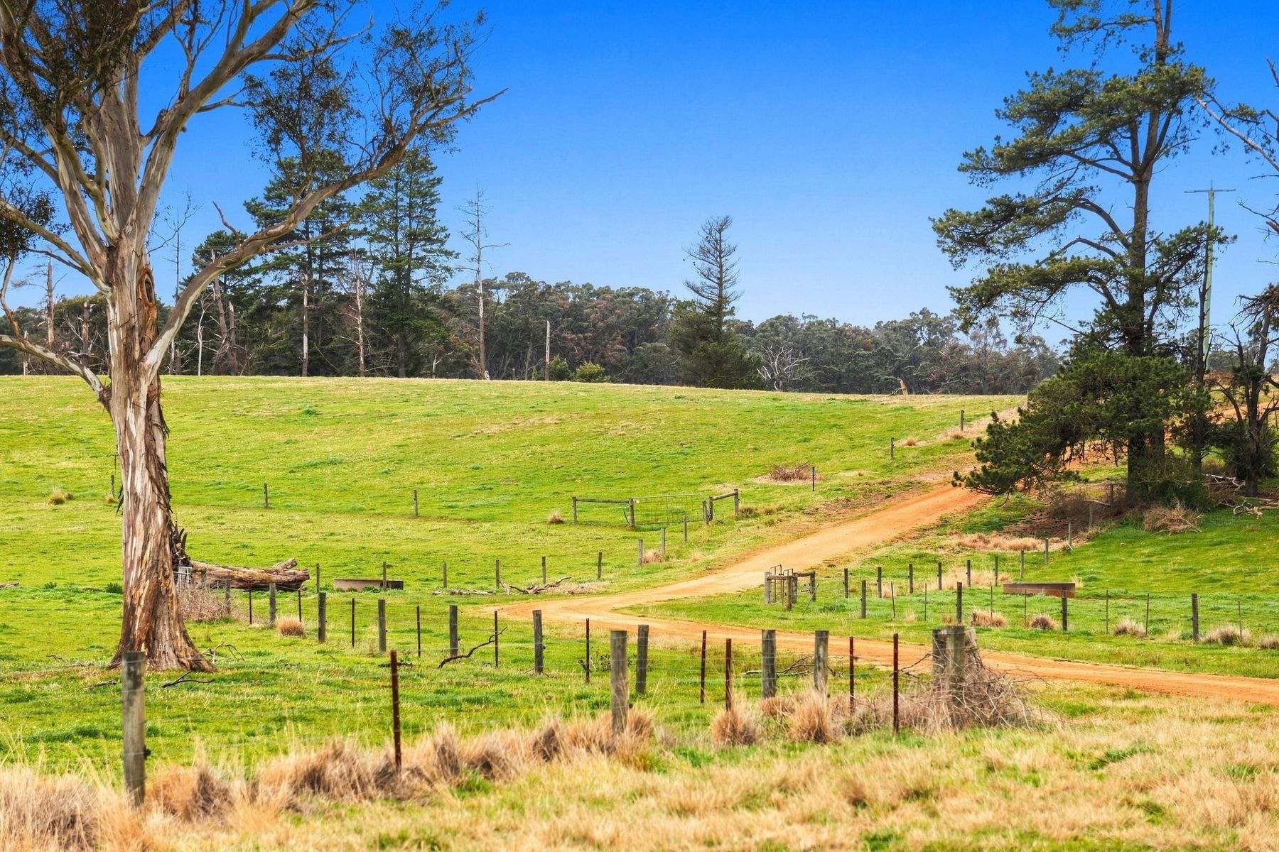 1131 Reservoir Road, Munro For Sale by Farmbuy.com - image 10