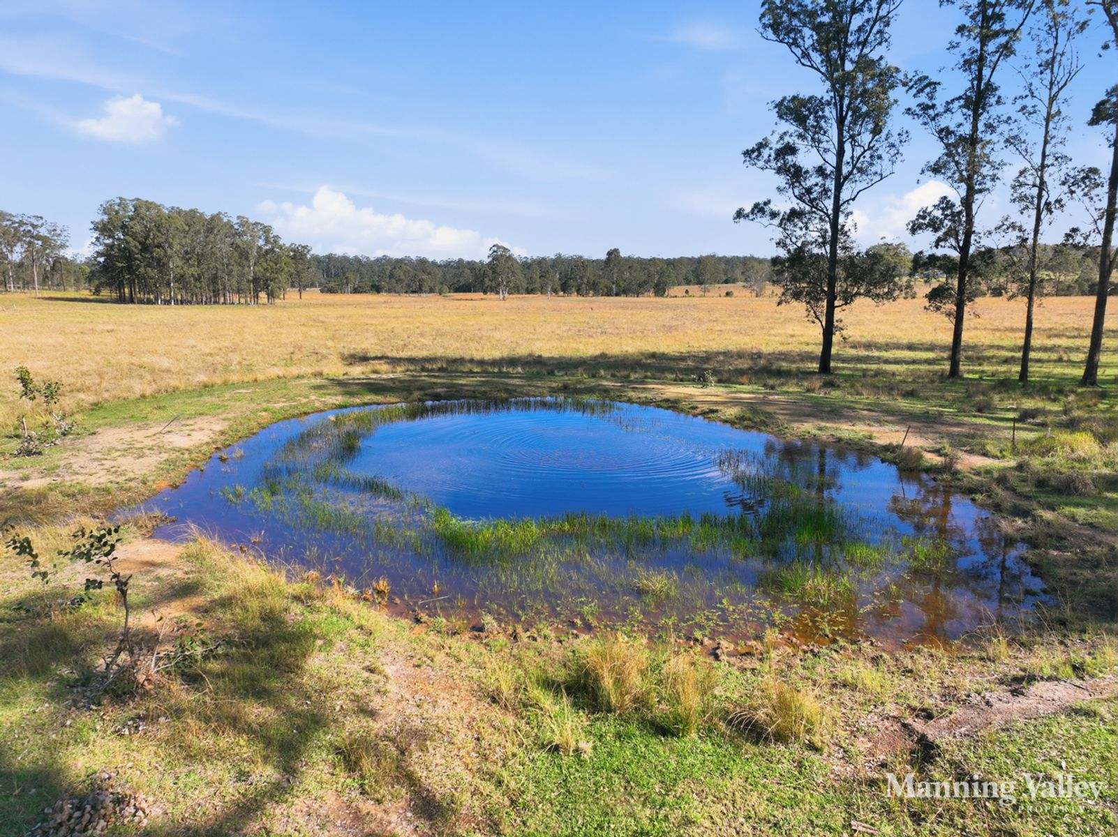 389 Upper Lansdowne Rd, Melinga Sold by Farmbuy.com - image 12