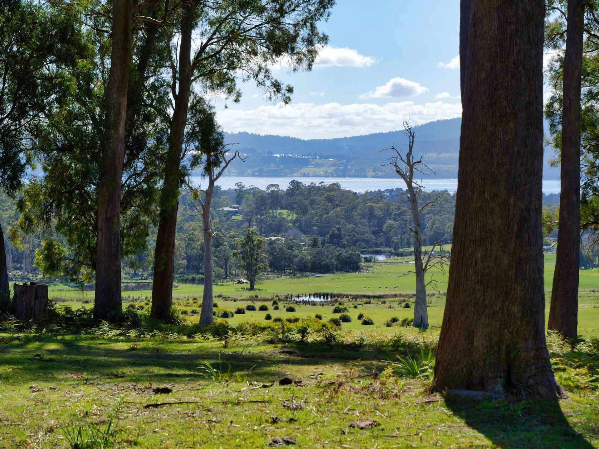 Property/137 Hendersons Lane, Gravelly Beach For Sale by Farmbuy.com - image 16