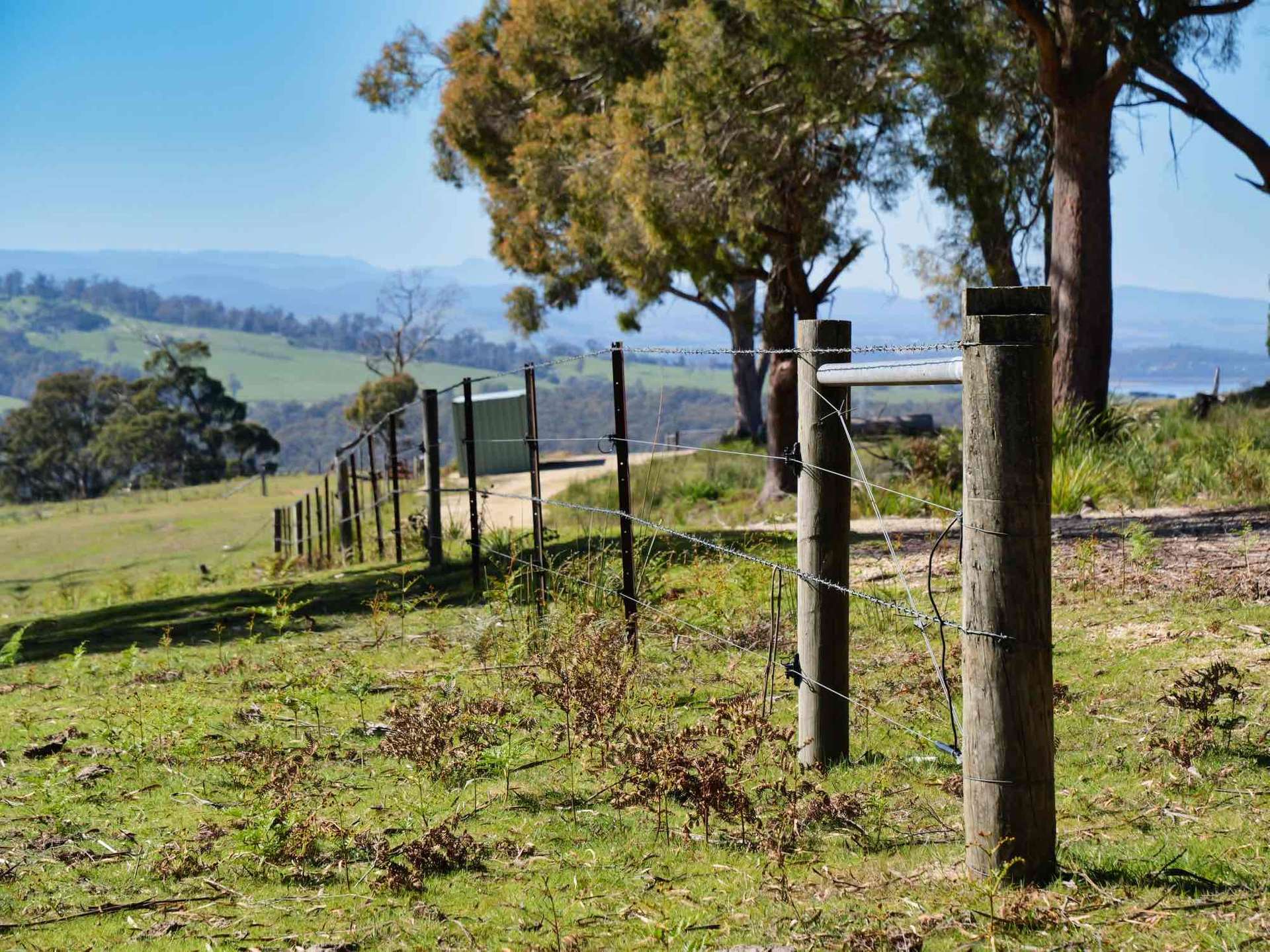 Property/137 Hendersons Lane, Gravelly Beach For Sale by Farmbuy.com - image 8