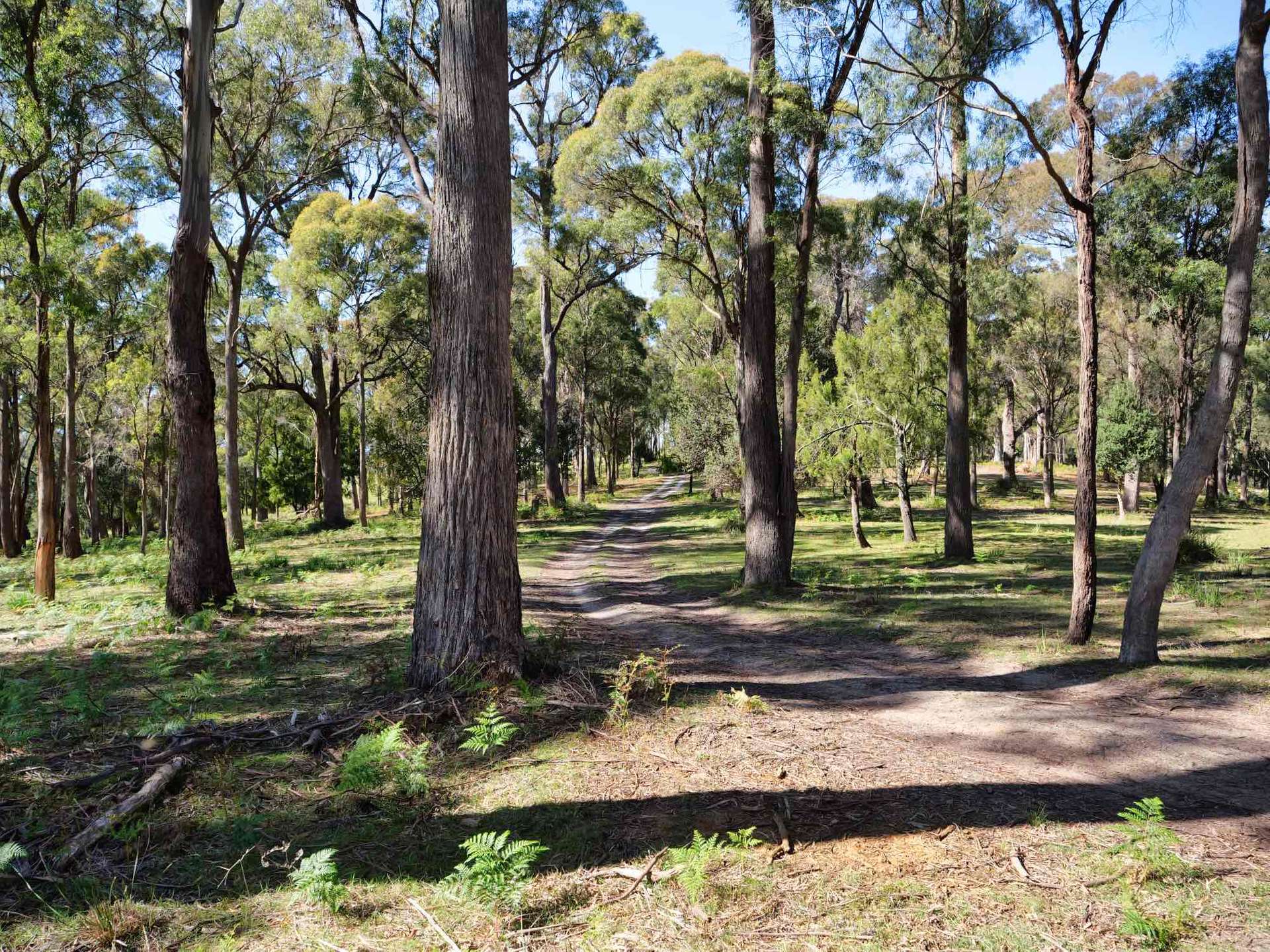 Property/137 Hendersons Lane, Gravelly Beach For Sale by Farmbuy.com - image 3