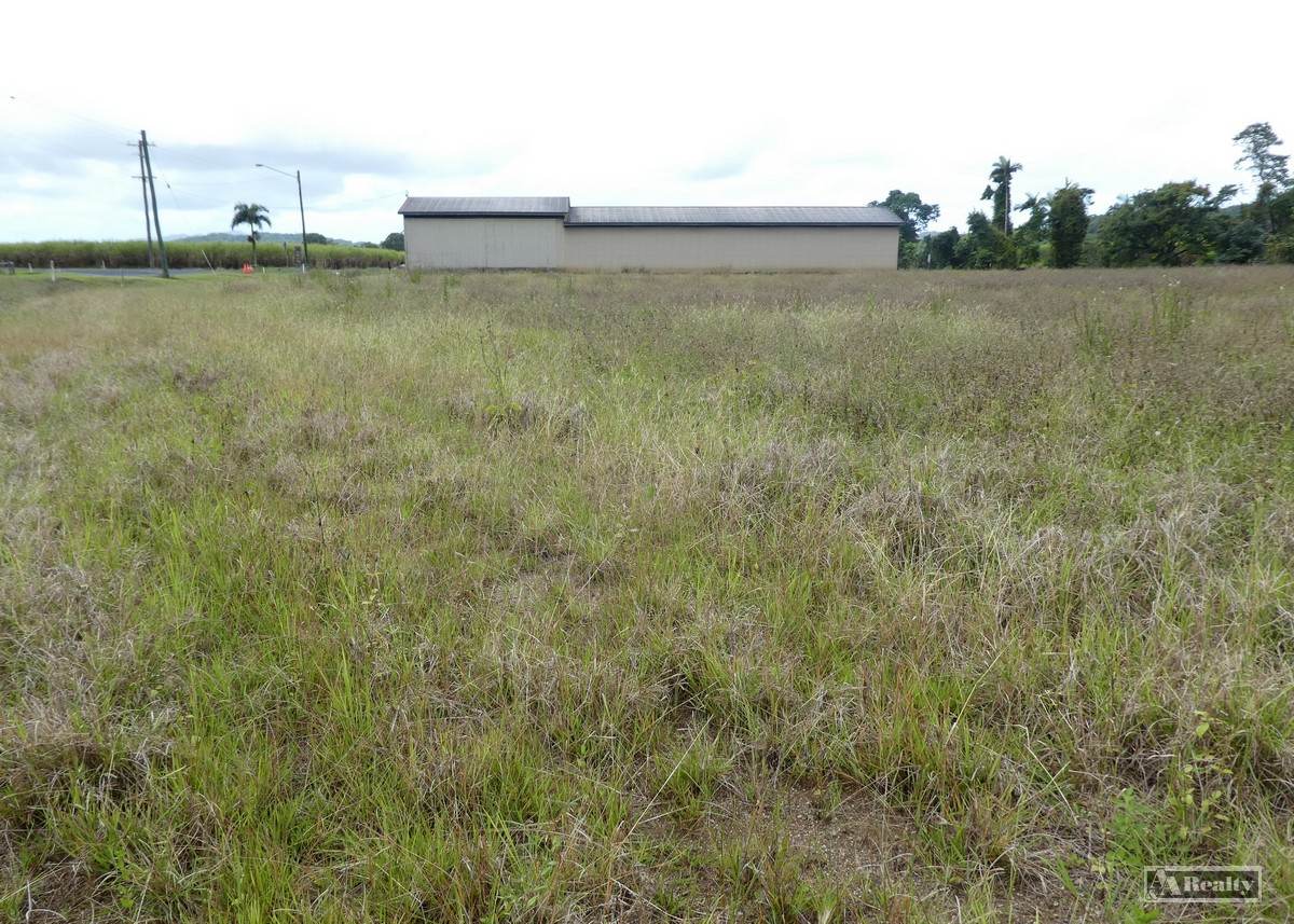 Bartle Frere For Sale by Farmbuy.com - image 4