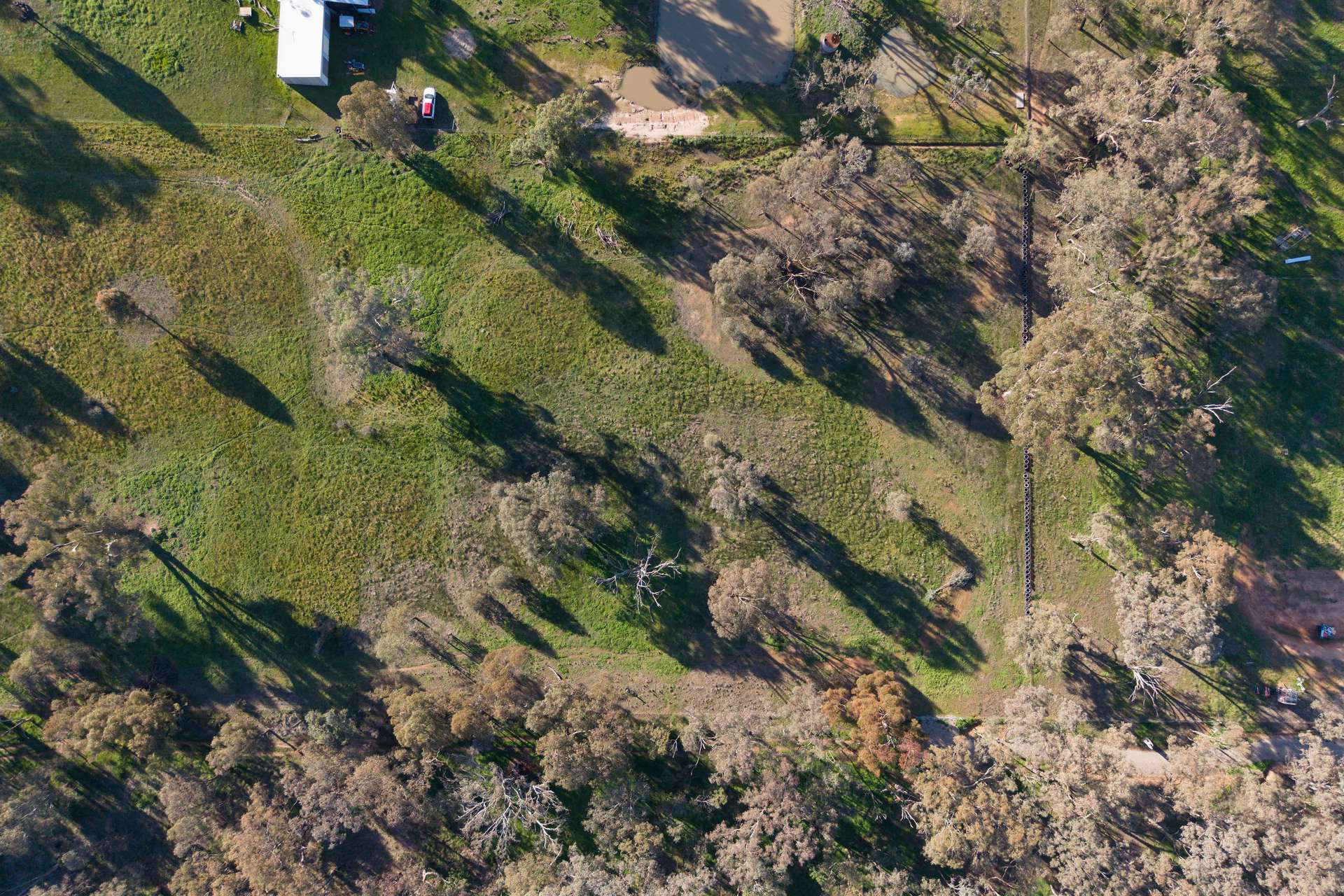 Lot 4, 103 Mcleod Street, Gerogery Auction by Farmbuy.com - image 8