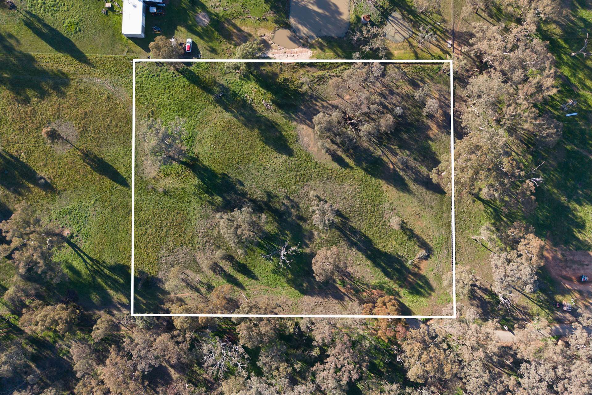 Lot 4, 103 Mcleod Street, Gerogery Auction by Farmbuy.com - image 9