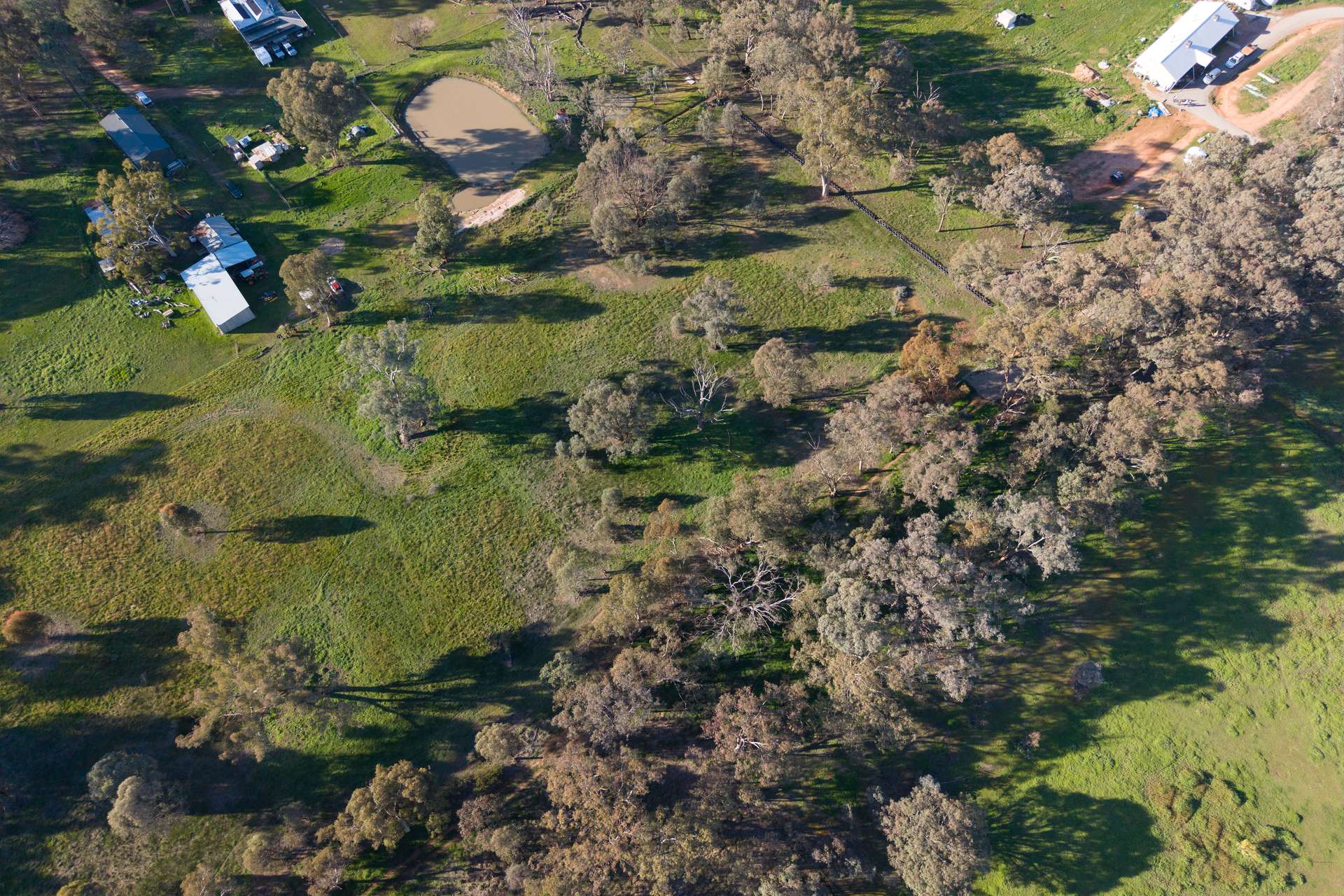 Lot 4, 103 Mcleod Street, Gerogery Auction by Farmbuy.com - image 10