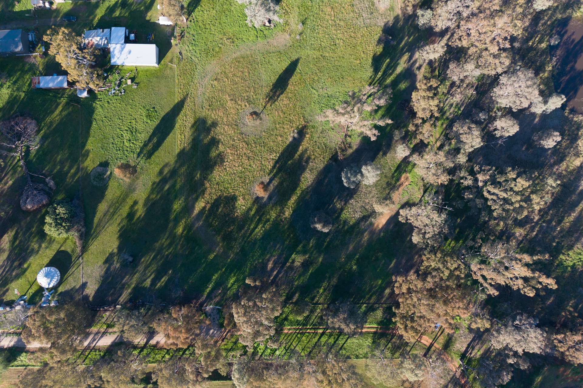 Lot 4, 103 Mcleod Street, Gerogery Auction by Farmbuy.com - image 16