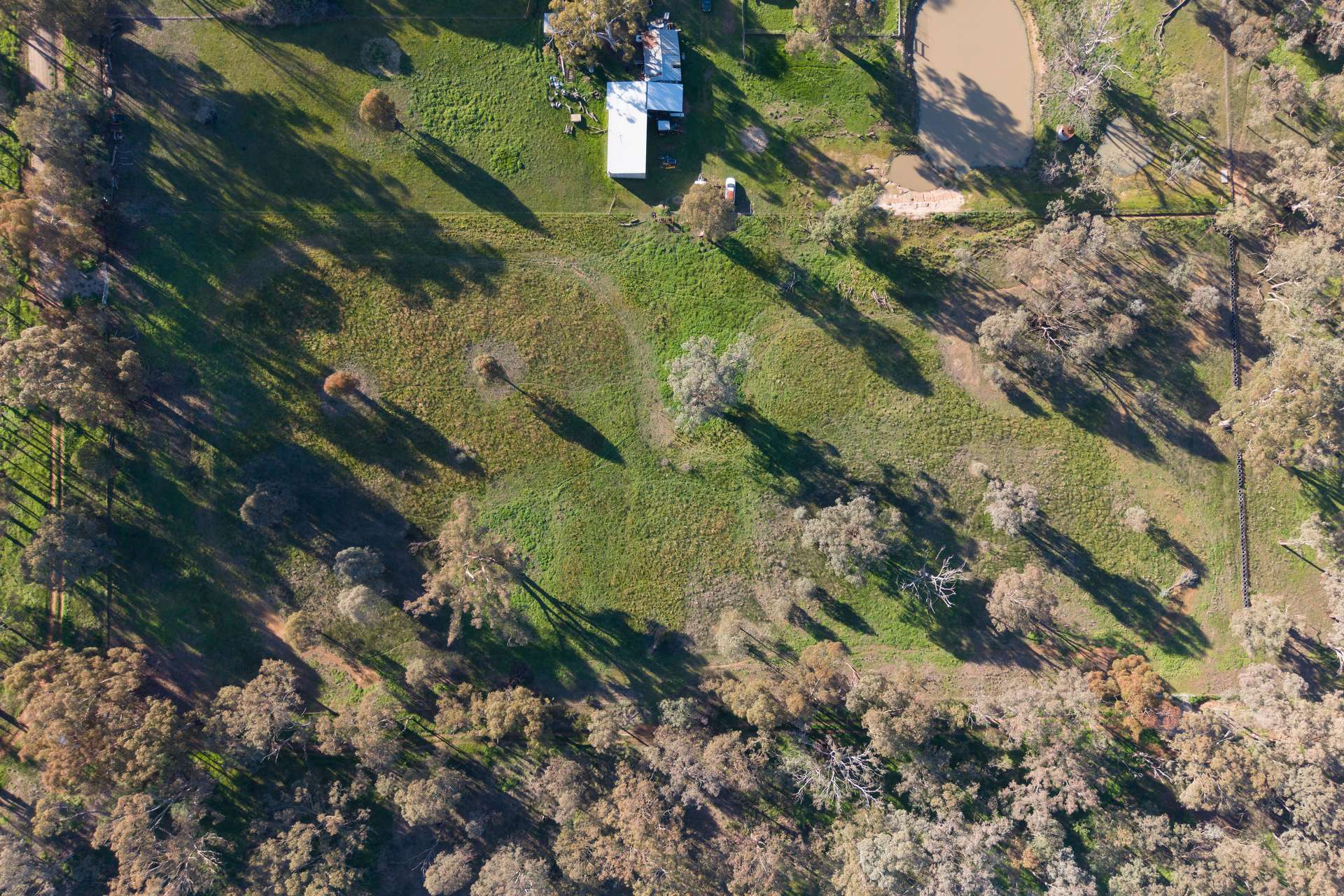 Lot 4, 103 Mcleod Street, Gerogery Auction by Farmbuy.com - image 22