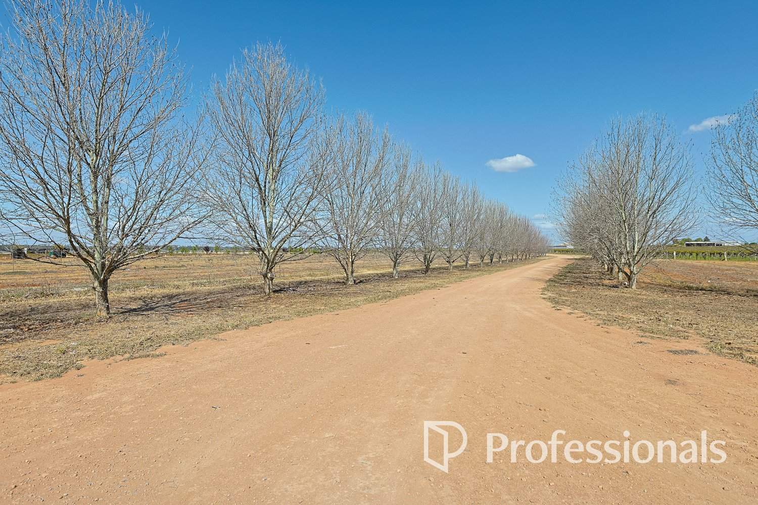 28 Brett Road, Euston For Sale by Farmbuy.com - image 17