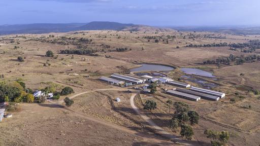 Farm For Sale - QLD - Woodmillar - 4625 - Established North Burnett Pig Production Enterprise With Secure Water 
