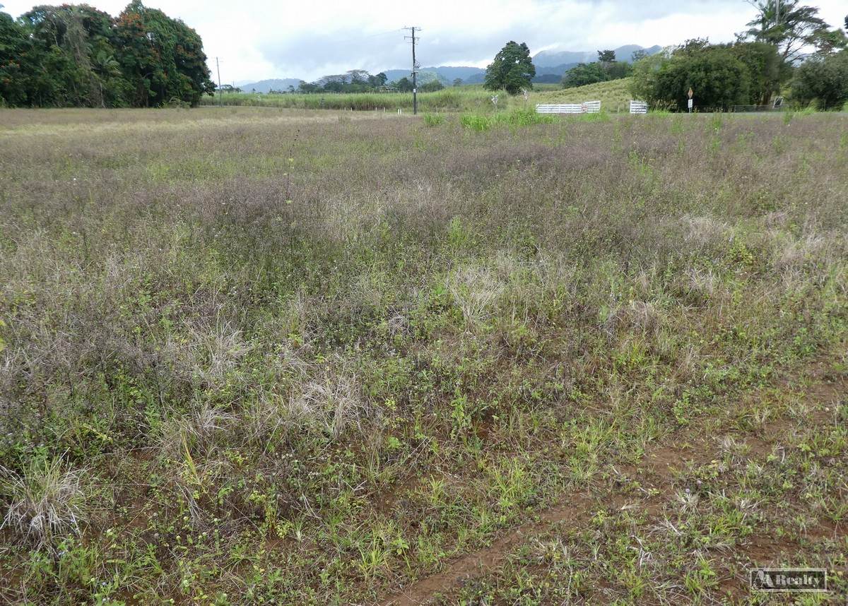 Bartle Frere For Sale by Farmbuy.com - image 6