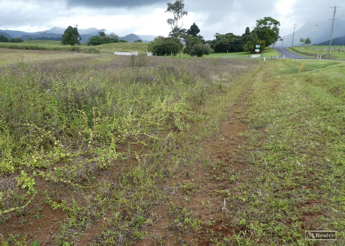 Bartle Frere For Sale by Farmbuy.com - image 5