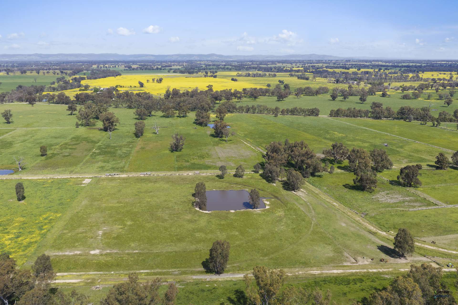 1396 Goomalibee Road, Goomalibee For Sale by Farmbuy.com - image 17