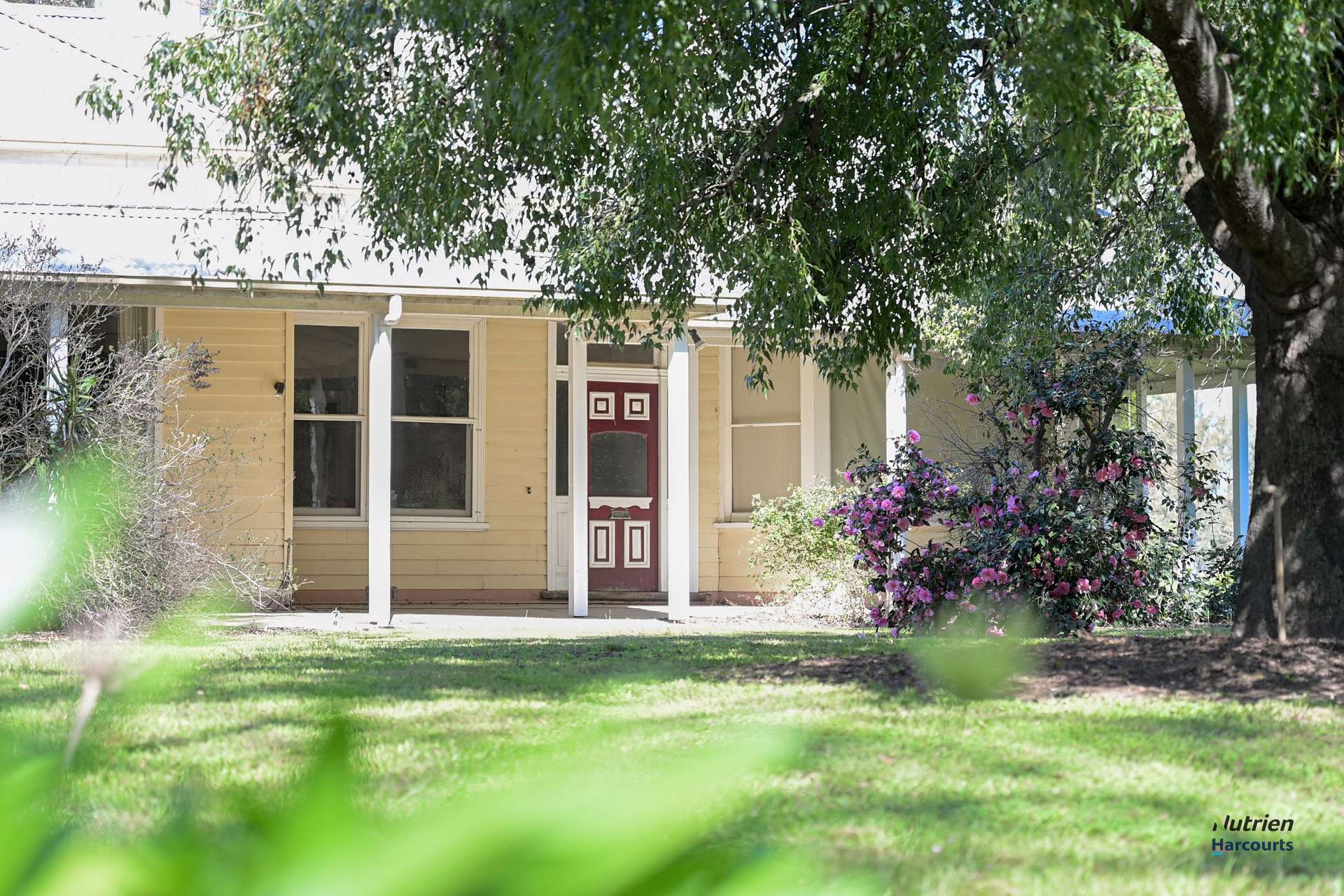 1396 Goomalibee Road, Goomalibee For Sale by Farmbuy.com - image 3