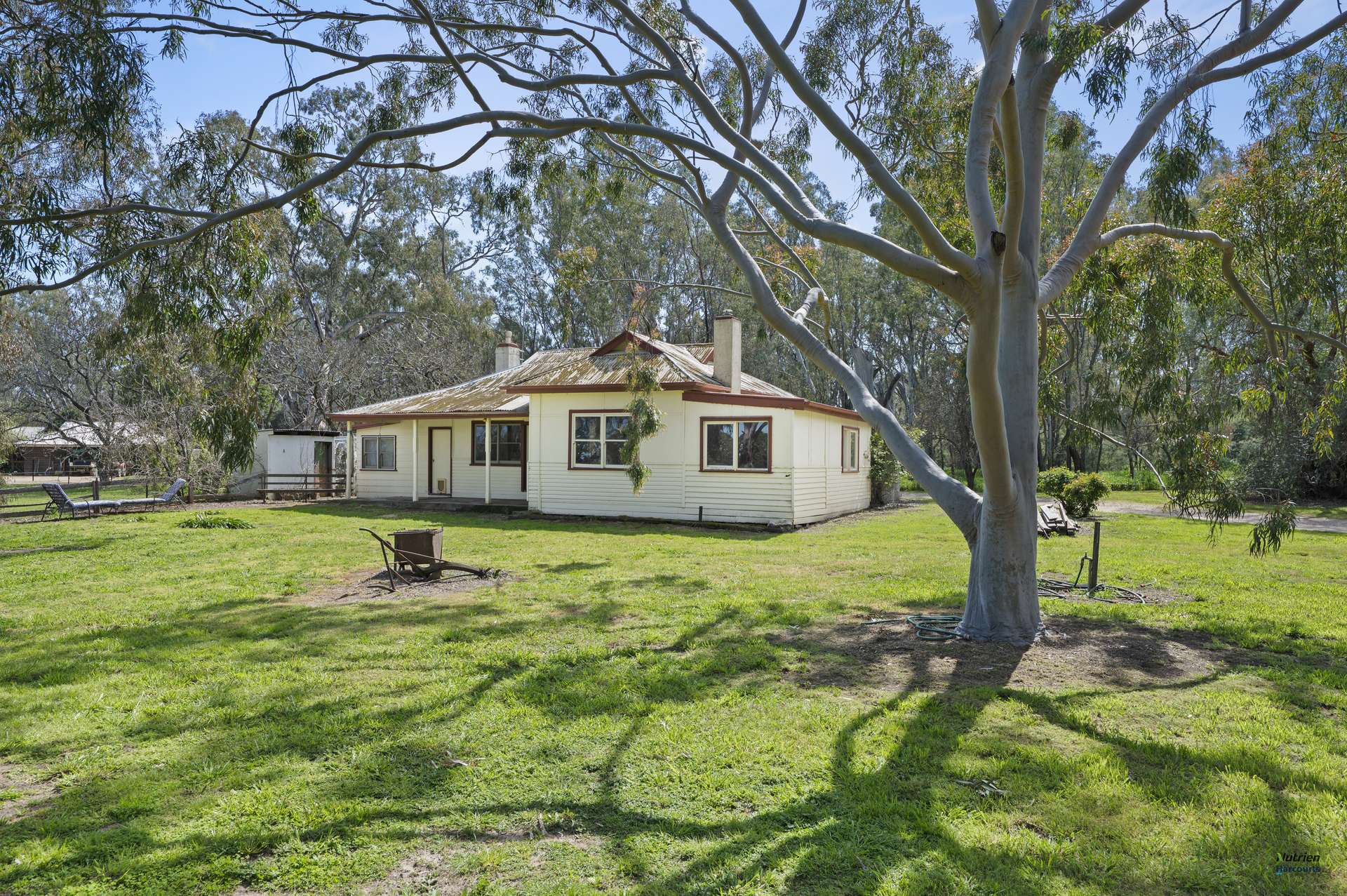 1396 Goomalibee Road, Goomalibee For Sale by Farmbuy.com - image 16