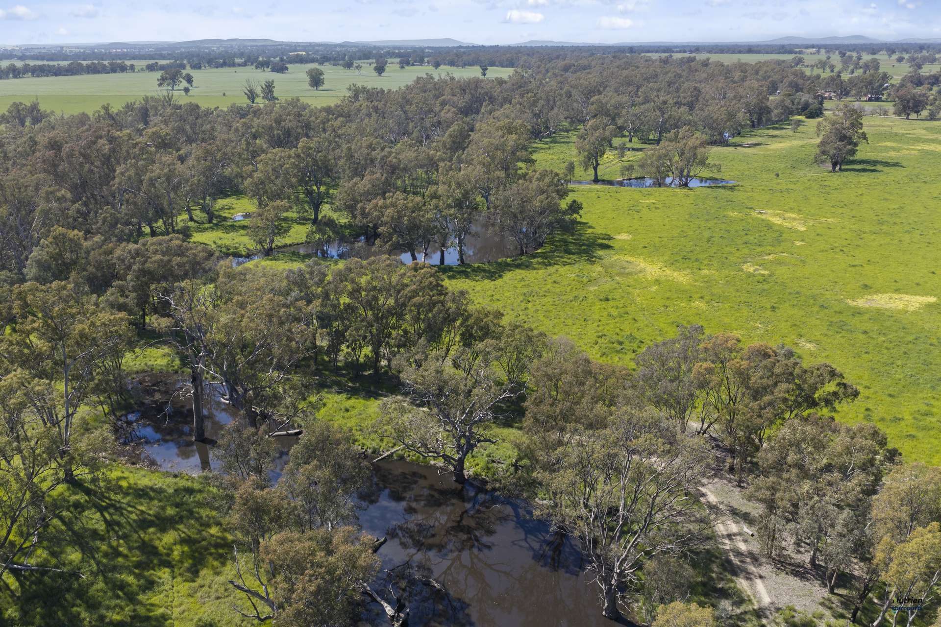 1396 Goomalibee Road, Goomalibee For Sale by Farmbuy.com - image 21