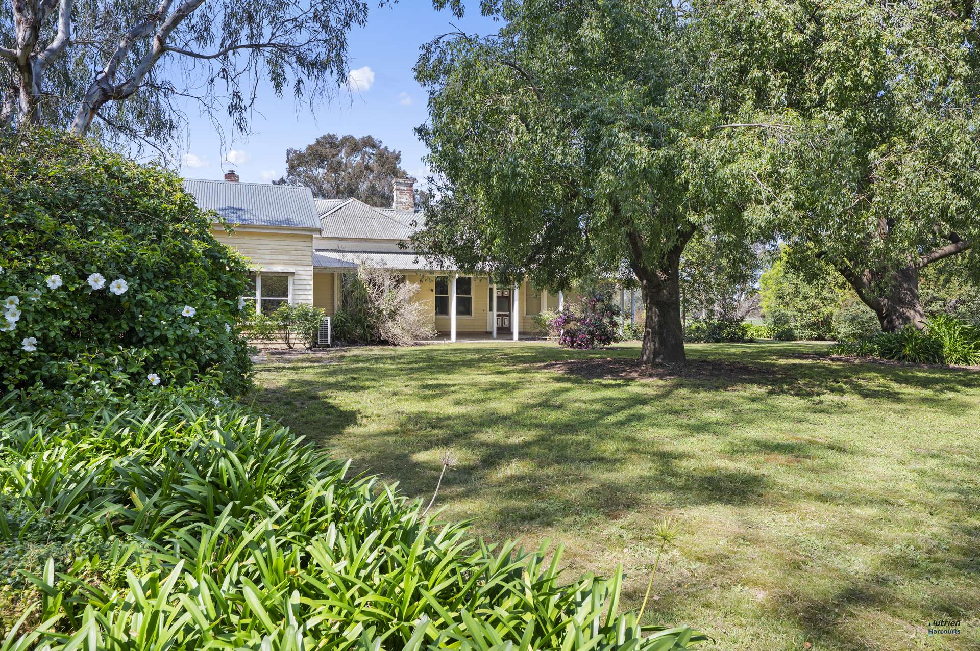 1396 Goomalibee Road, Goomalibee For Sale by Farmbuy.com - image 2