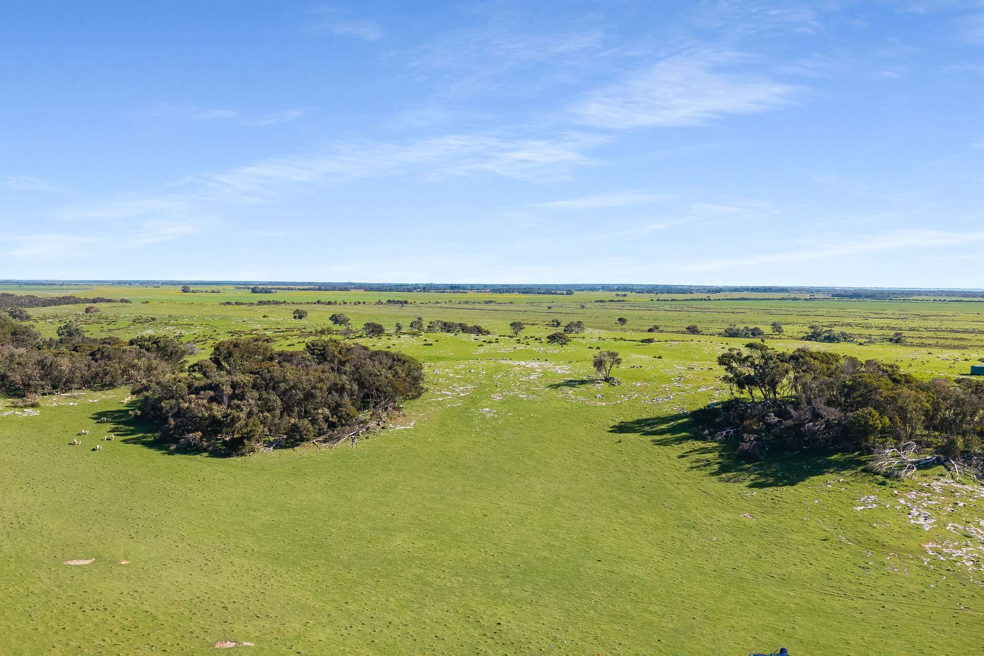 Lot 246 & Shamrock Road, Mount Benson For Sale by Farmbuy.com - image 8